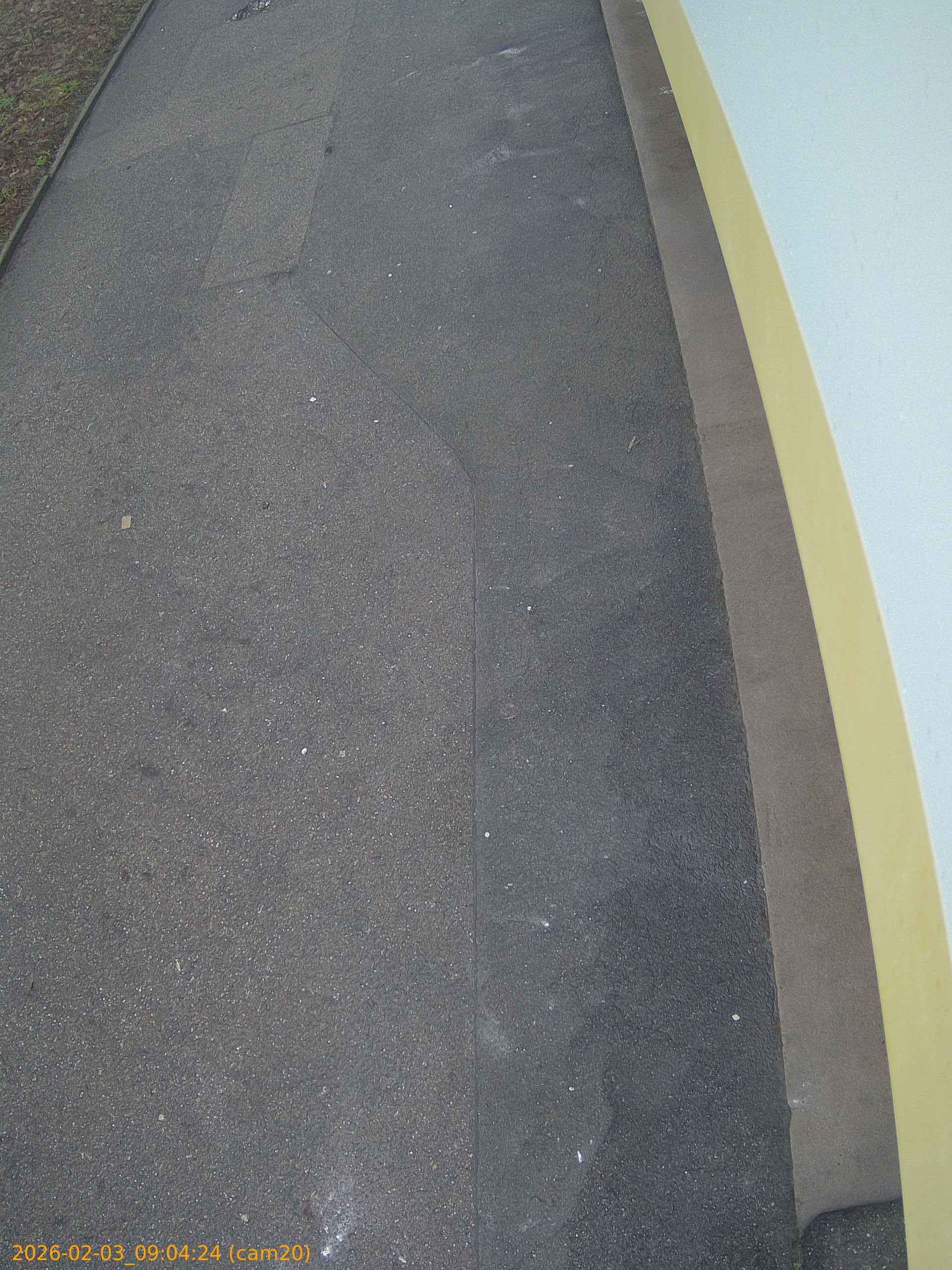 thumbnail_20260203090424