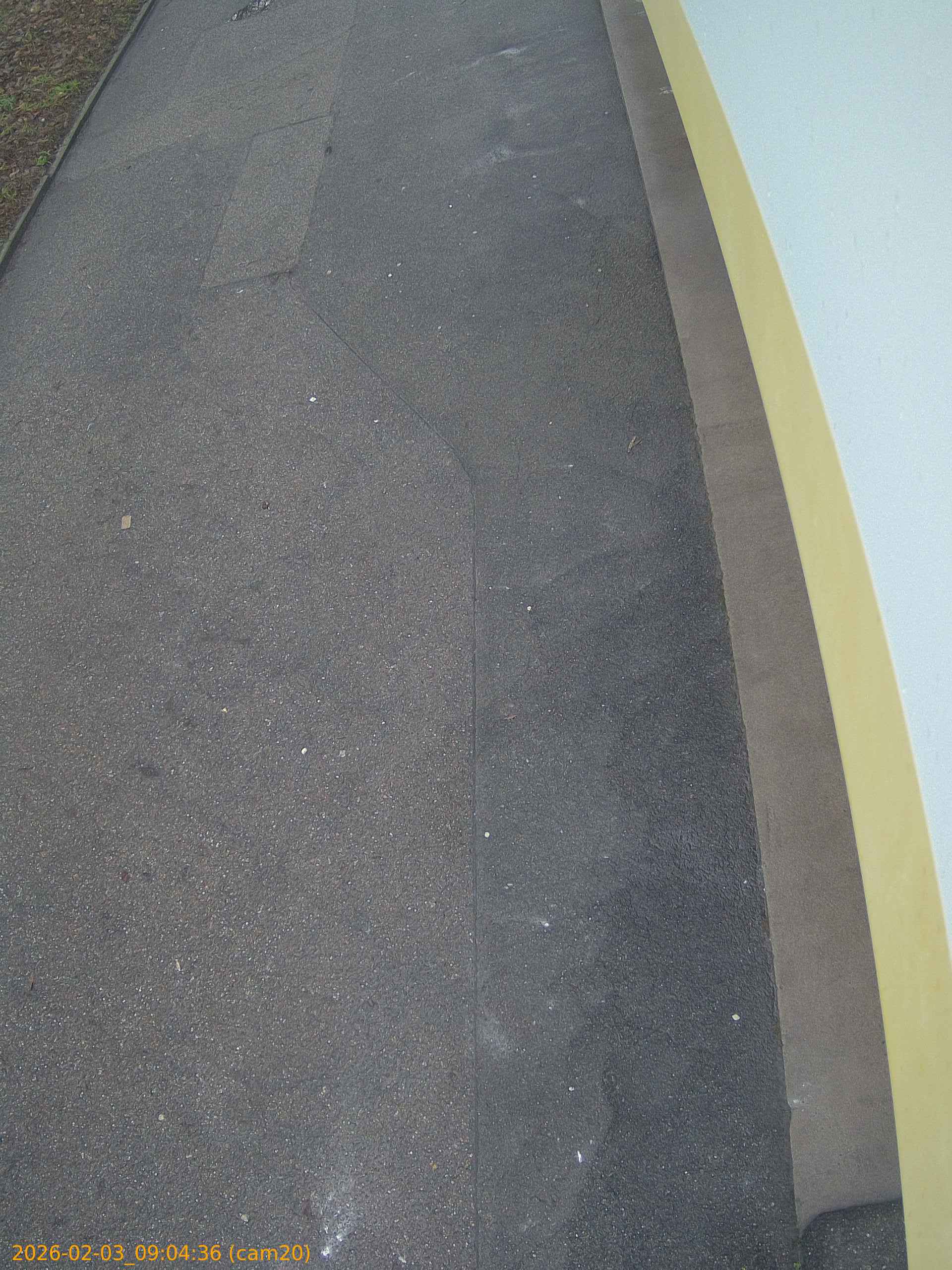 thumbnail_20260203090436