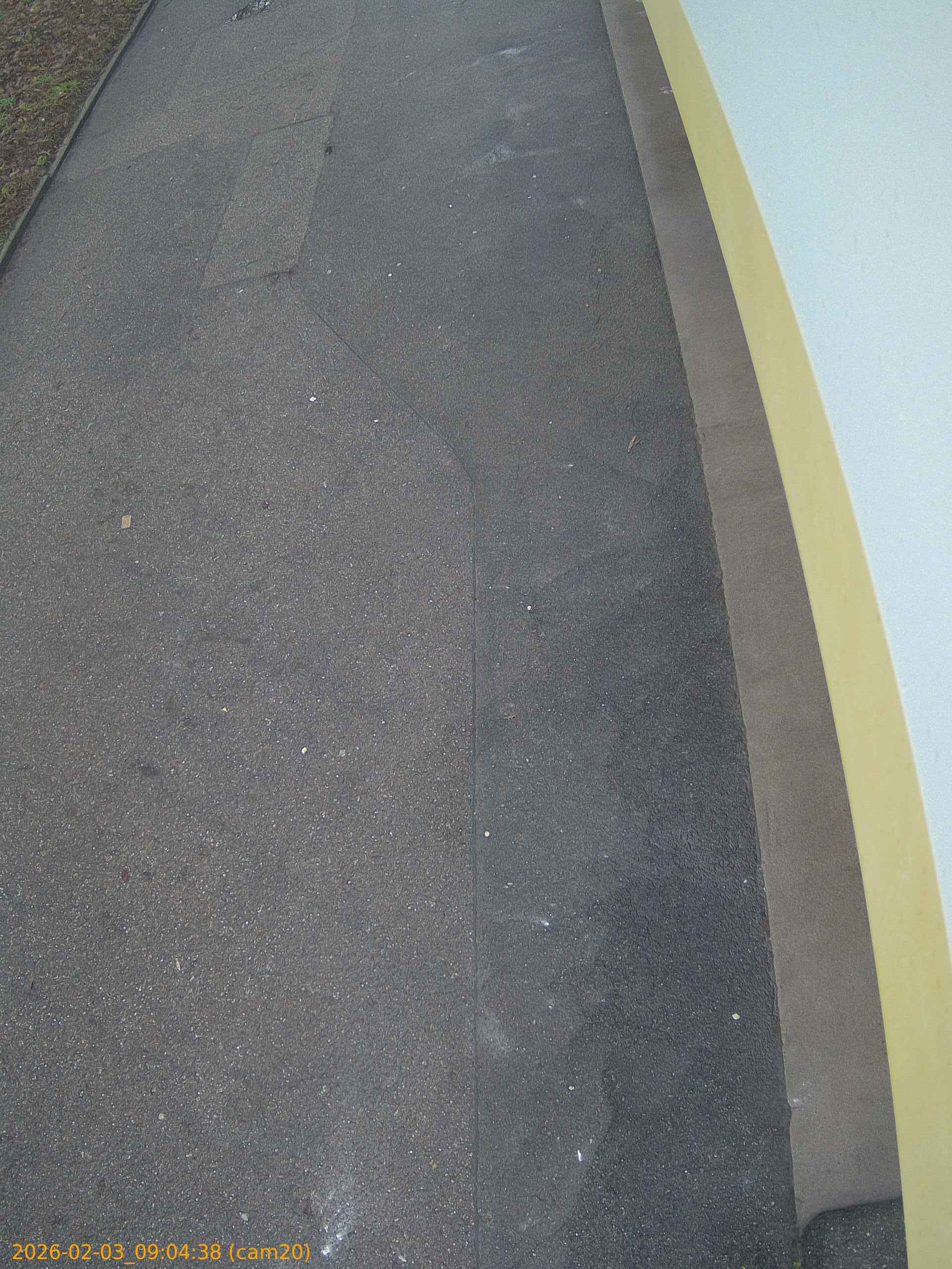 thumbnail_20260203090438