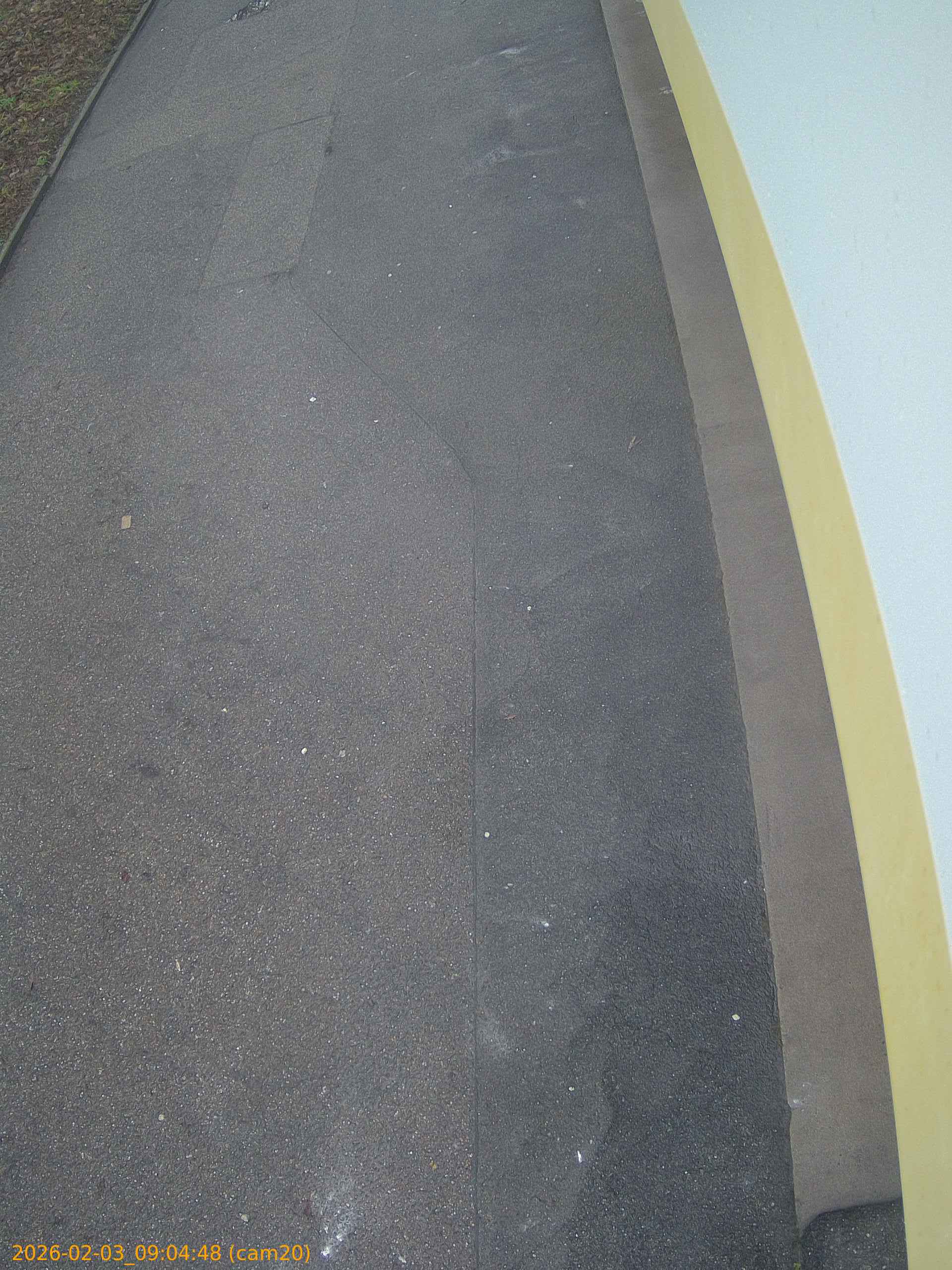 thumbnail_20260203090448