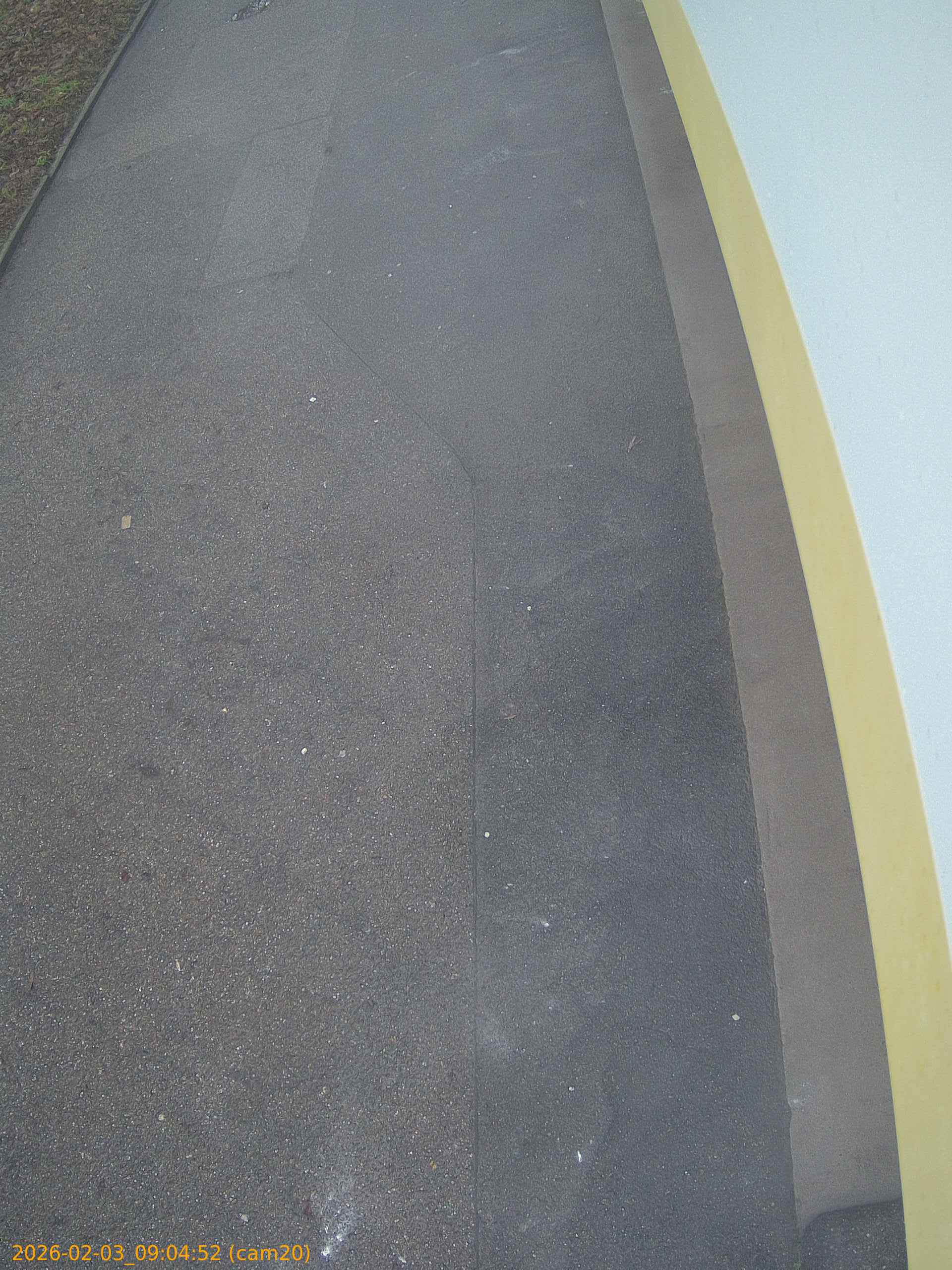 thumbnail_20260203090452