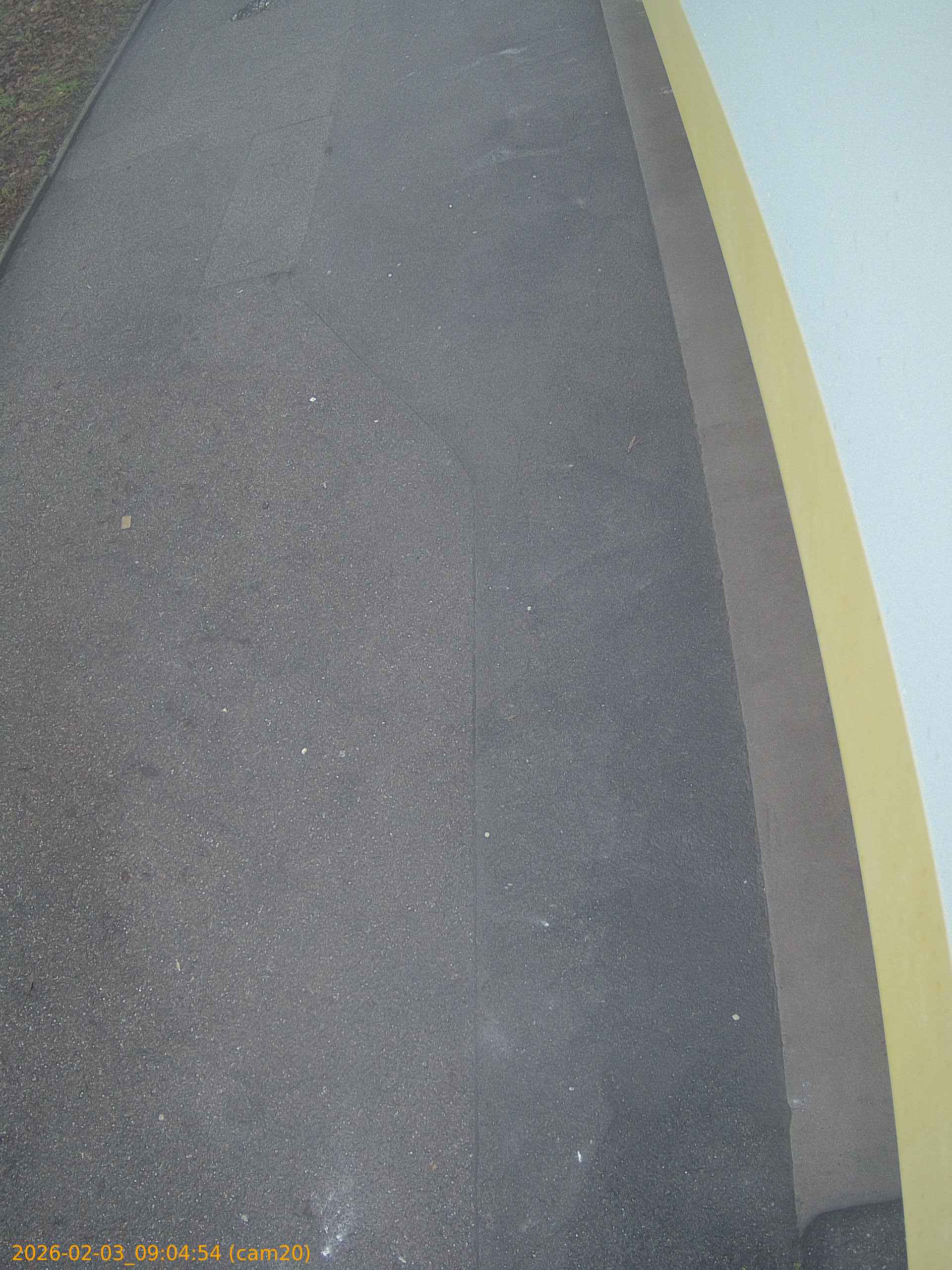 thumbnail_20260203090454