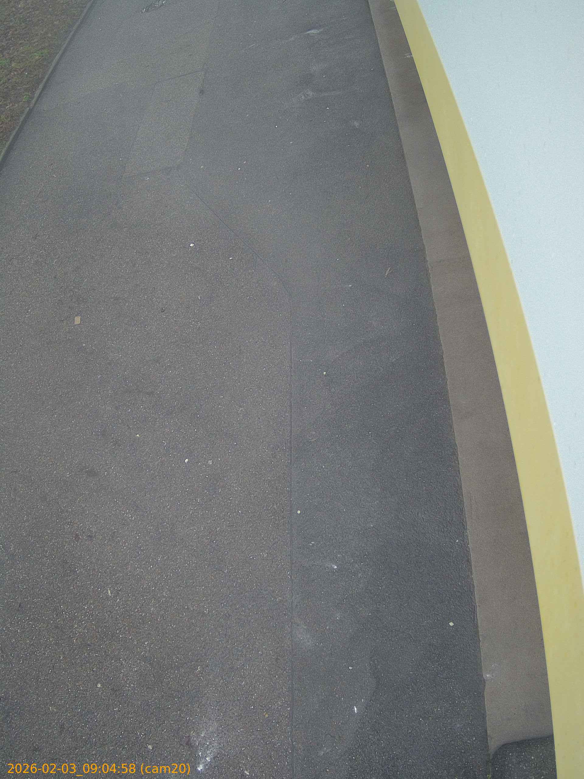 thumbnail_20260203090458