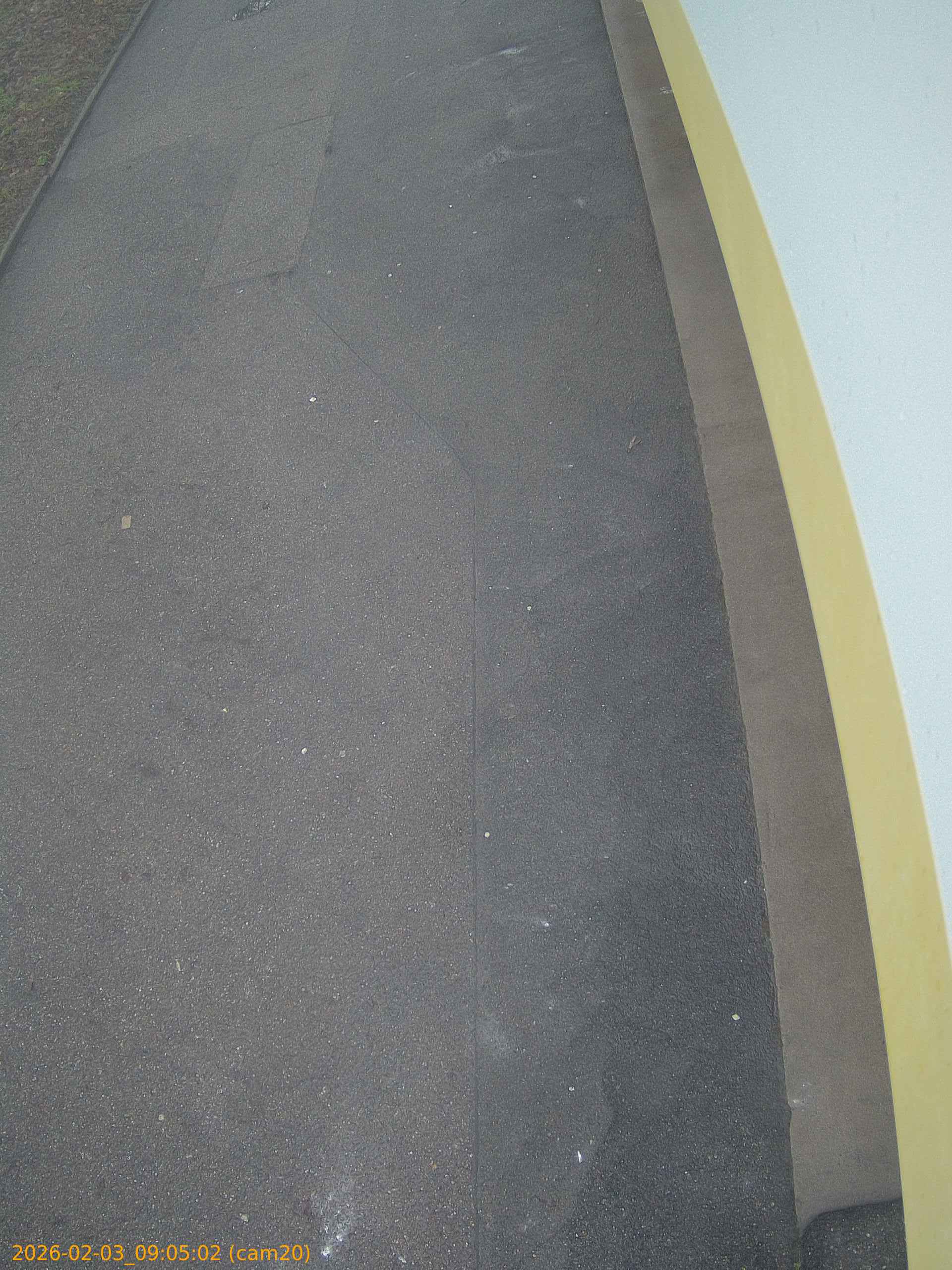 thumbnail_20260203090502