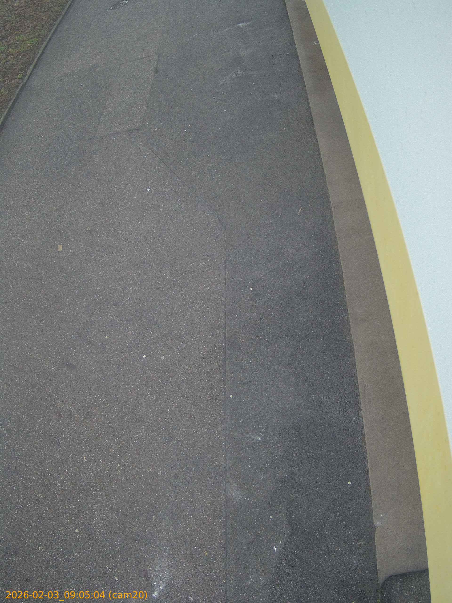 thumbnail_20260203090504