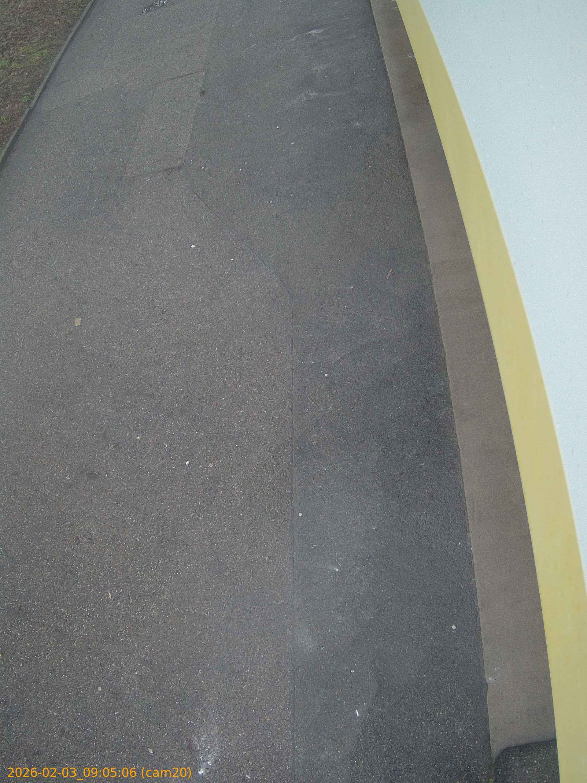 thumbnail_20260203090506