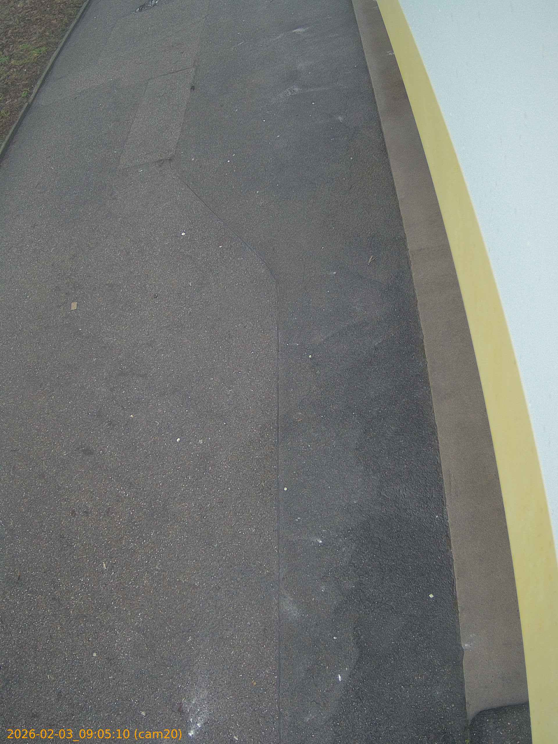 thumbnail_20260203090510