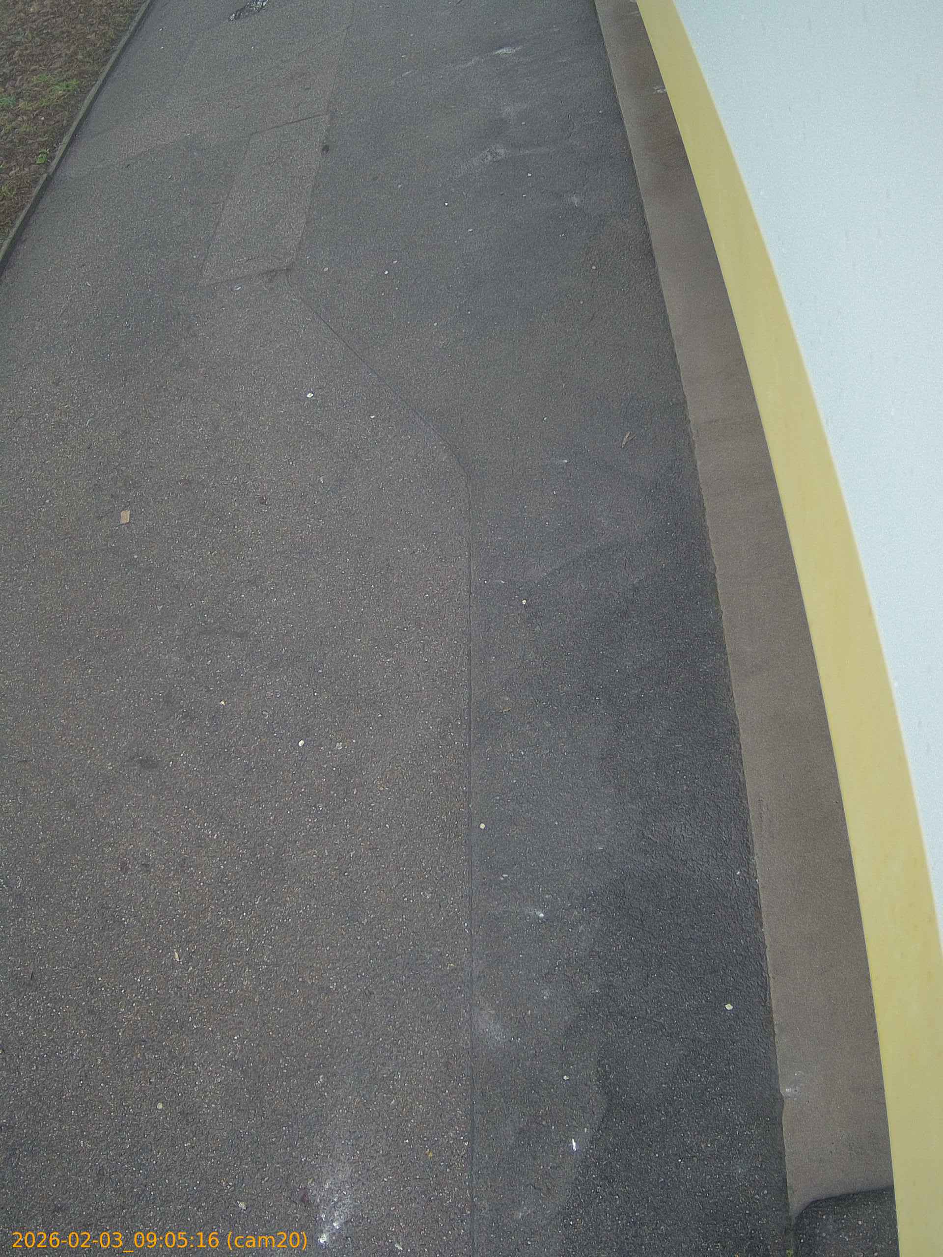 thumbnail_20260203090516