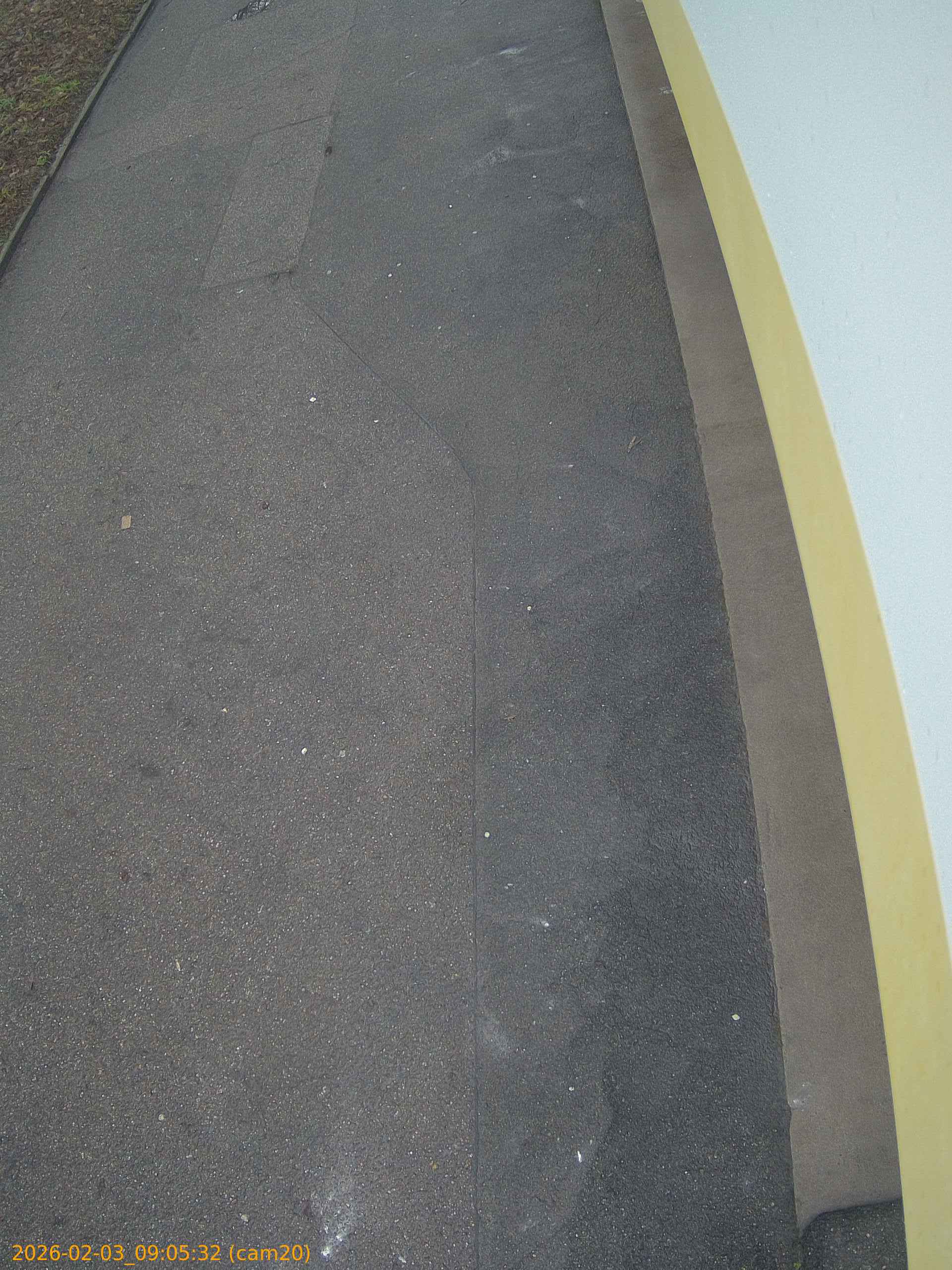 thumbnail_20260203090532