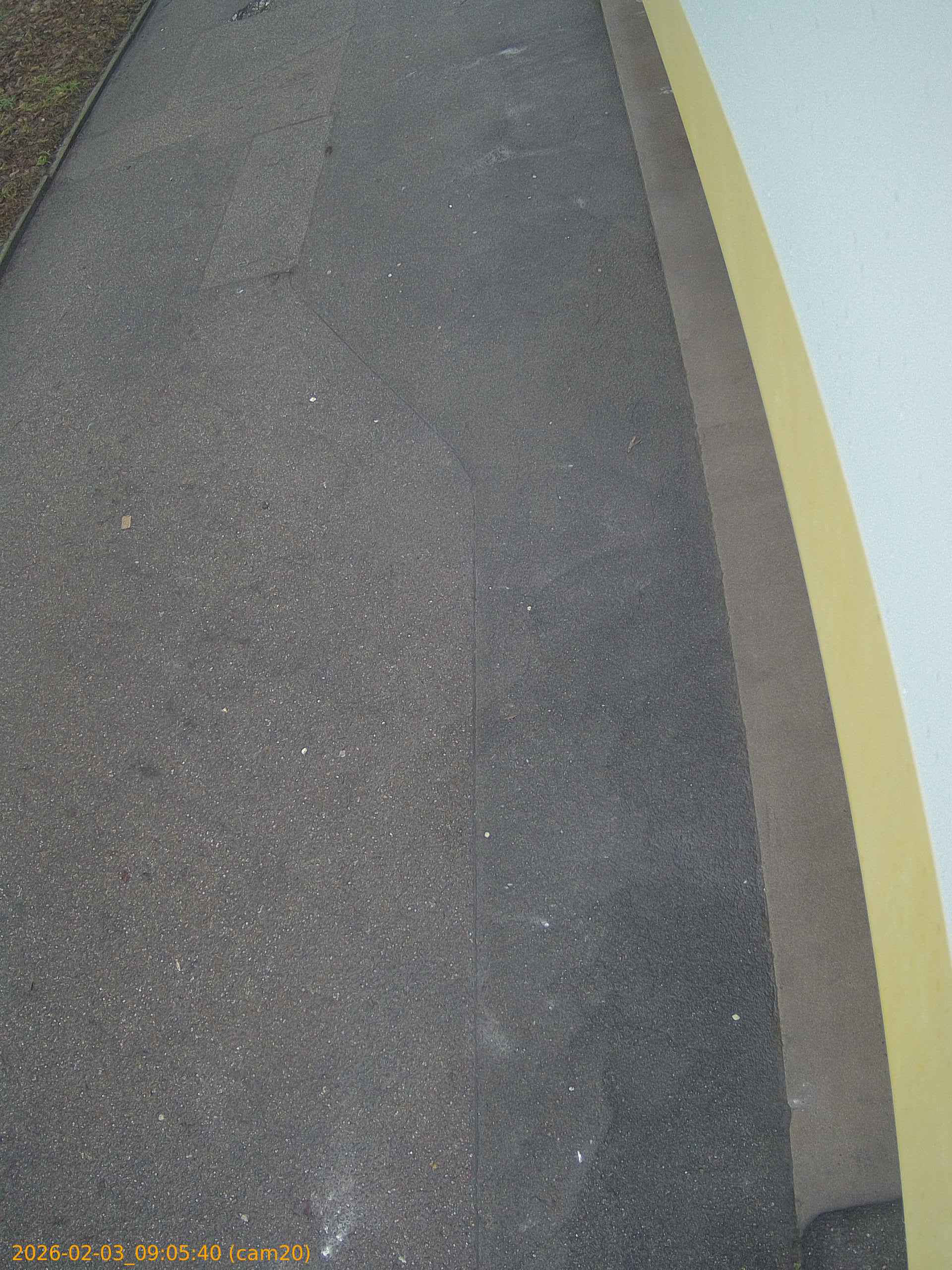 thumbnail_20260203090540