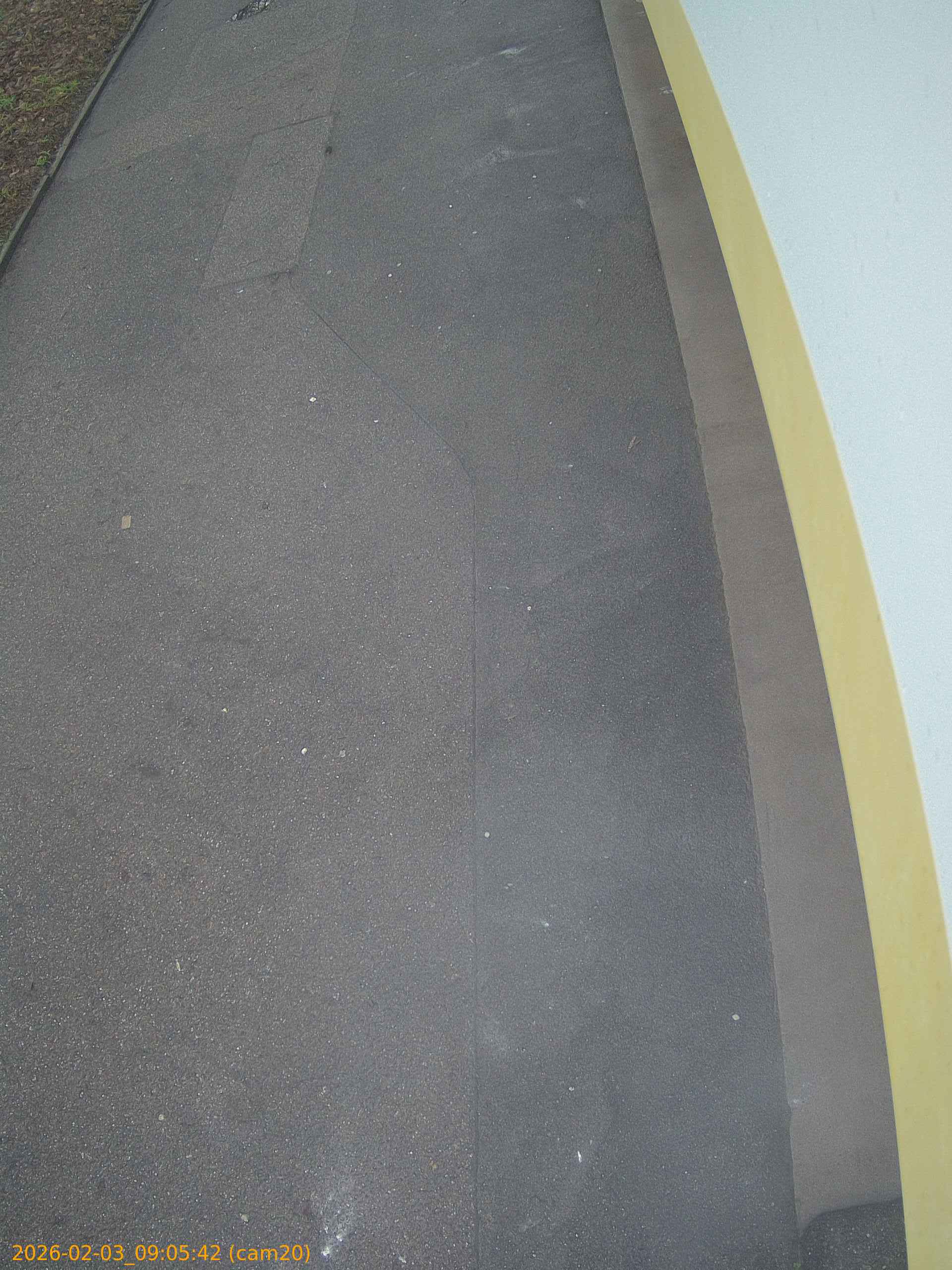 thumbnail_20260203090542