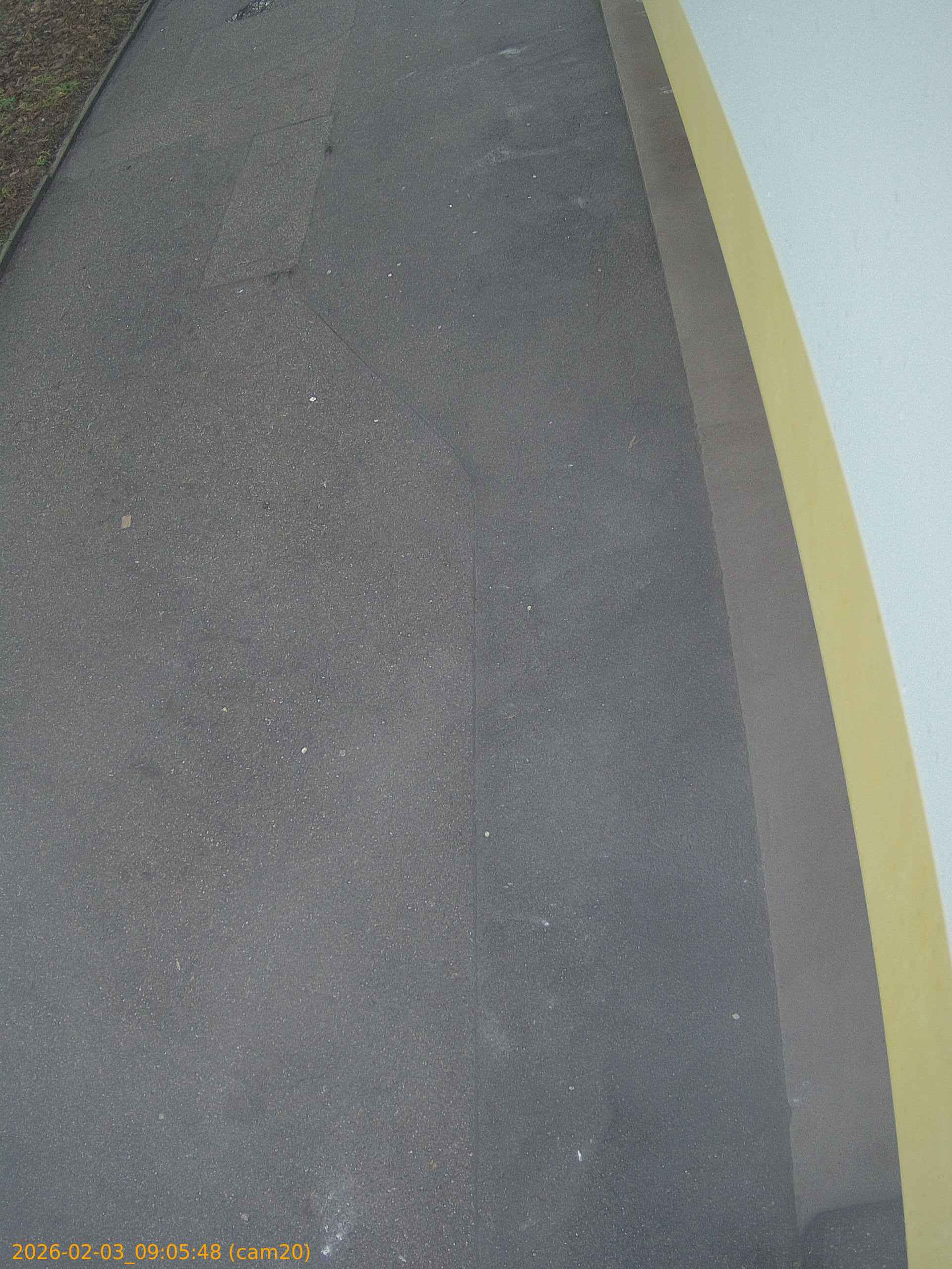 thumbnail_20260203090548