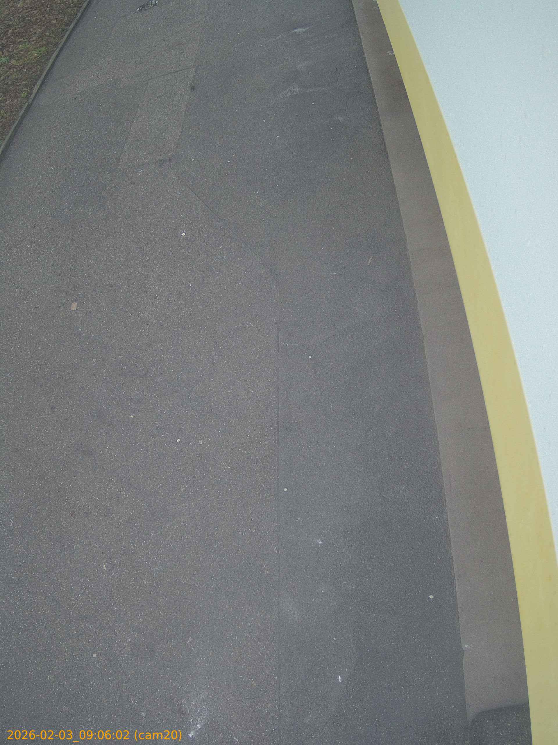 thumbnail_20260203090602