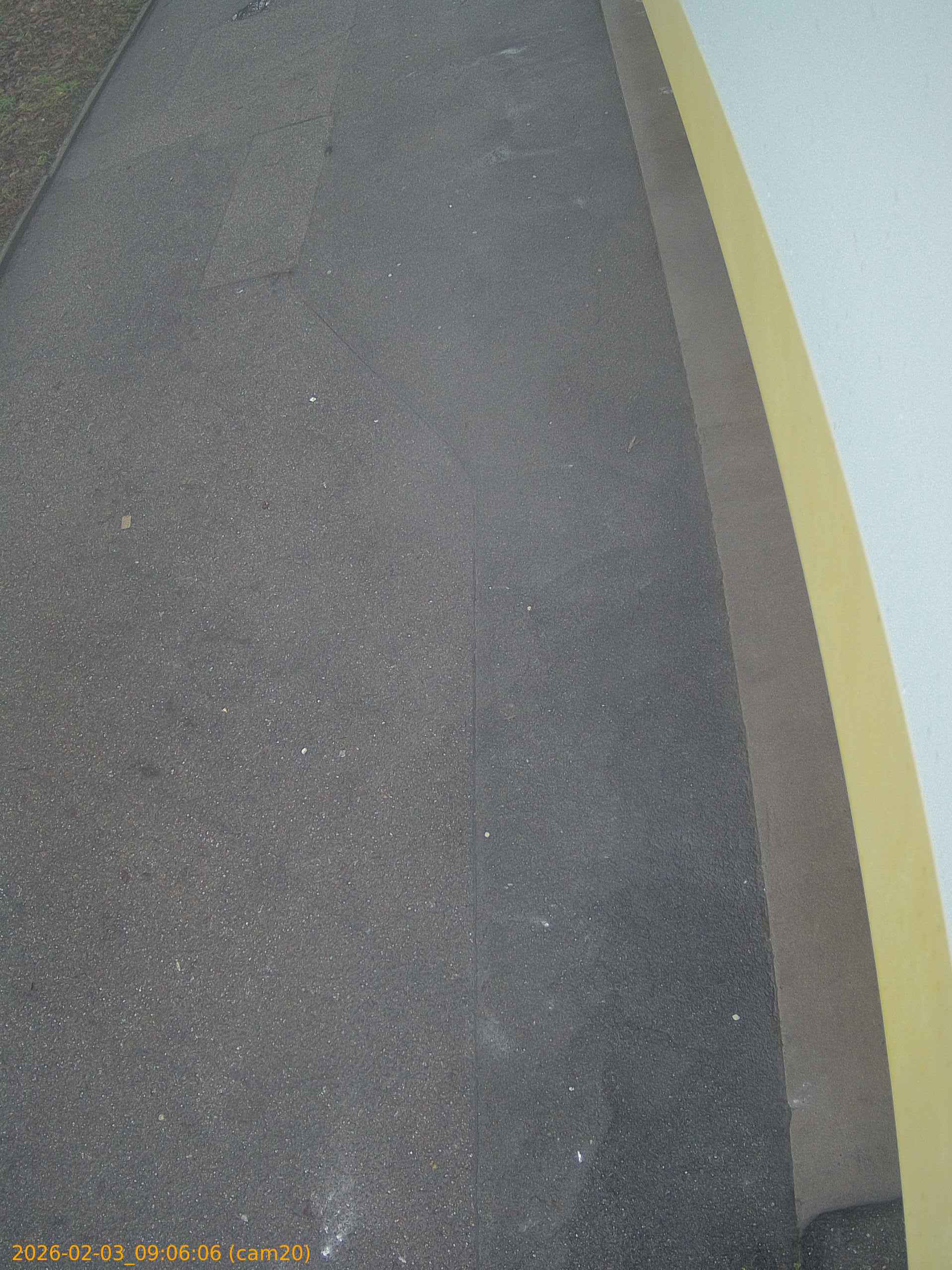 thumbnail_20260203090606