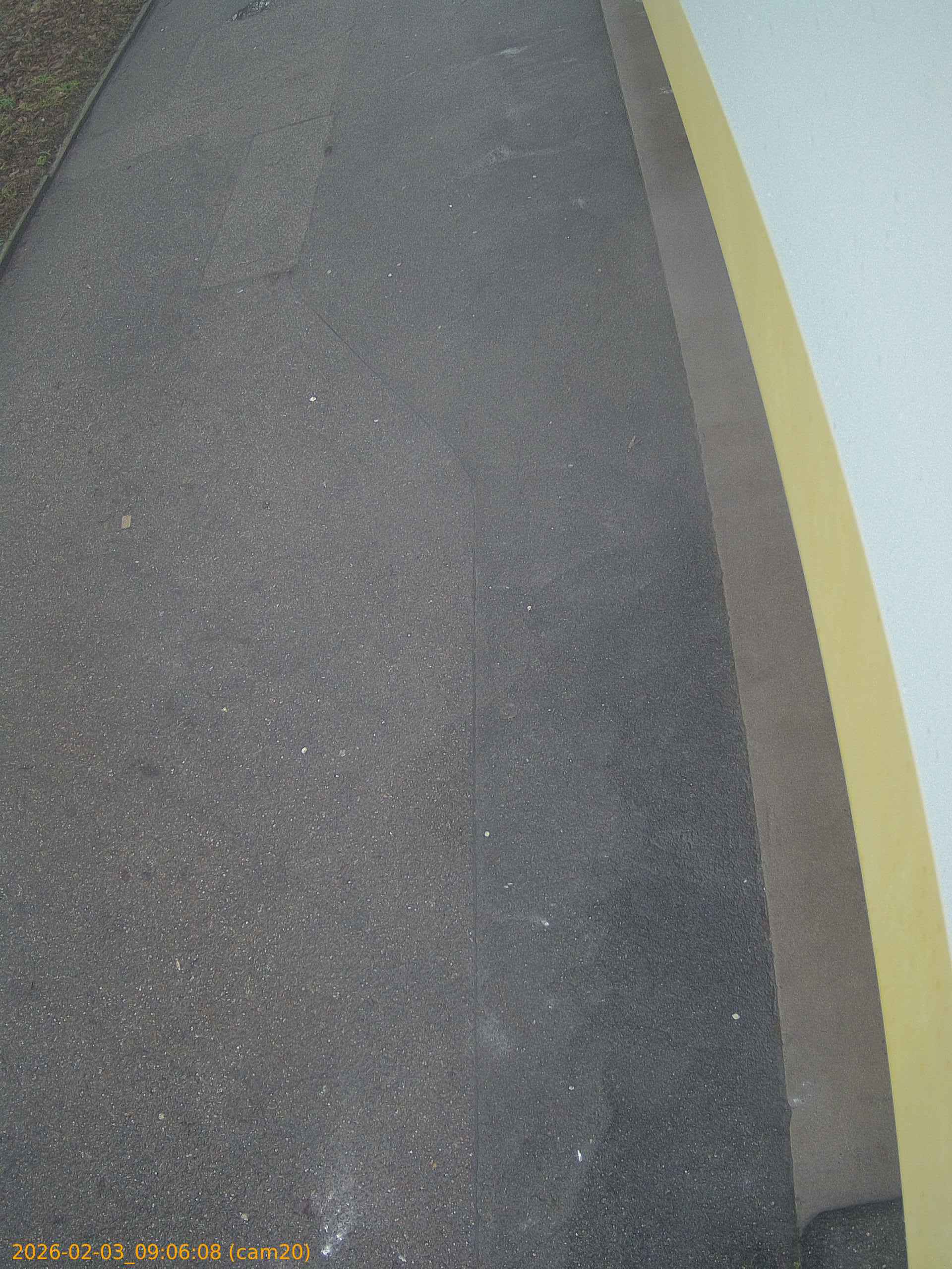 thumbnail_20260203090608