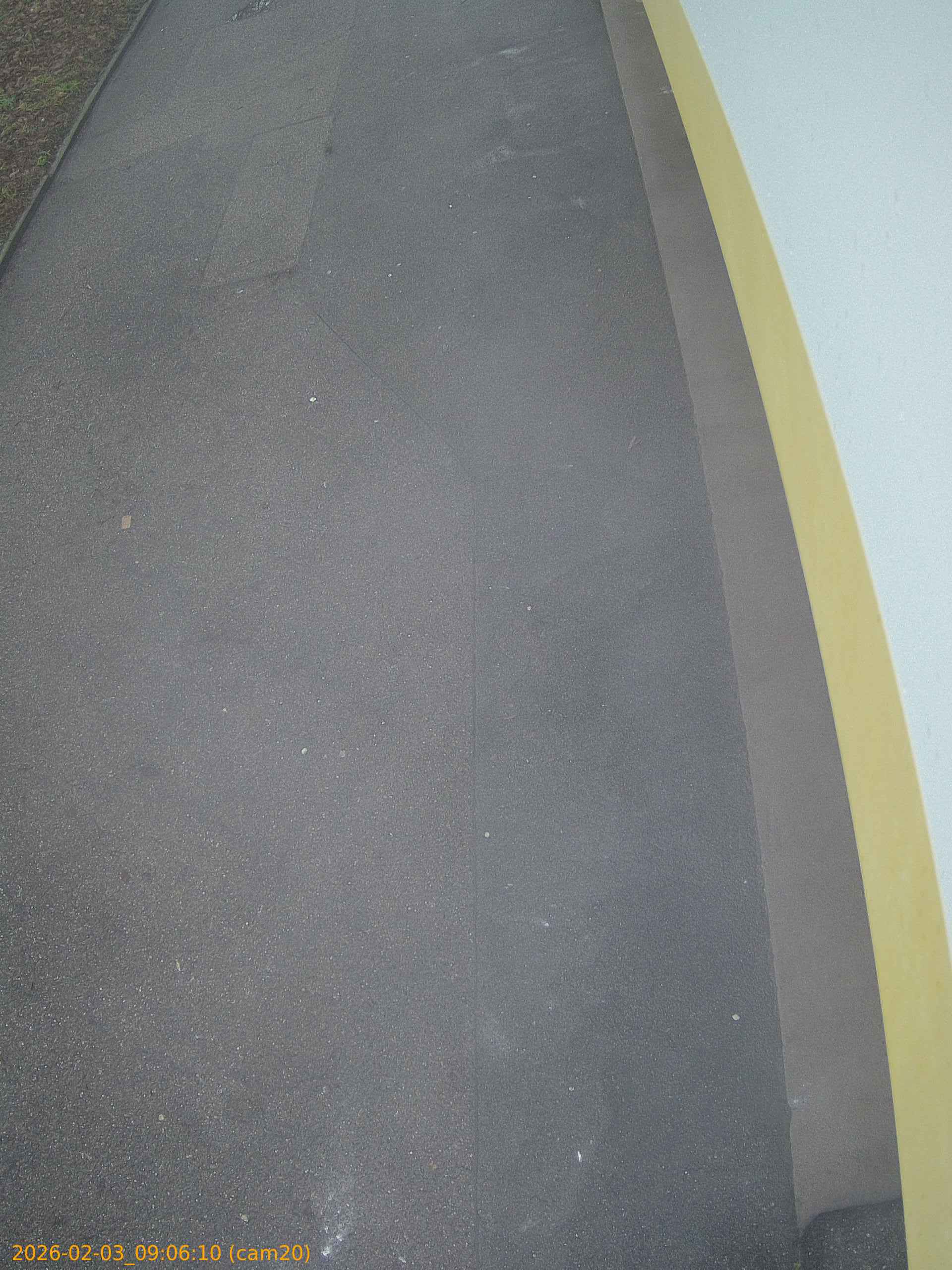 thumbnail_20260203090610