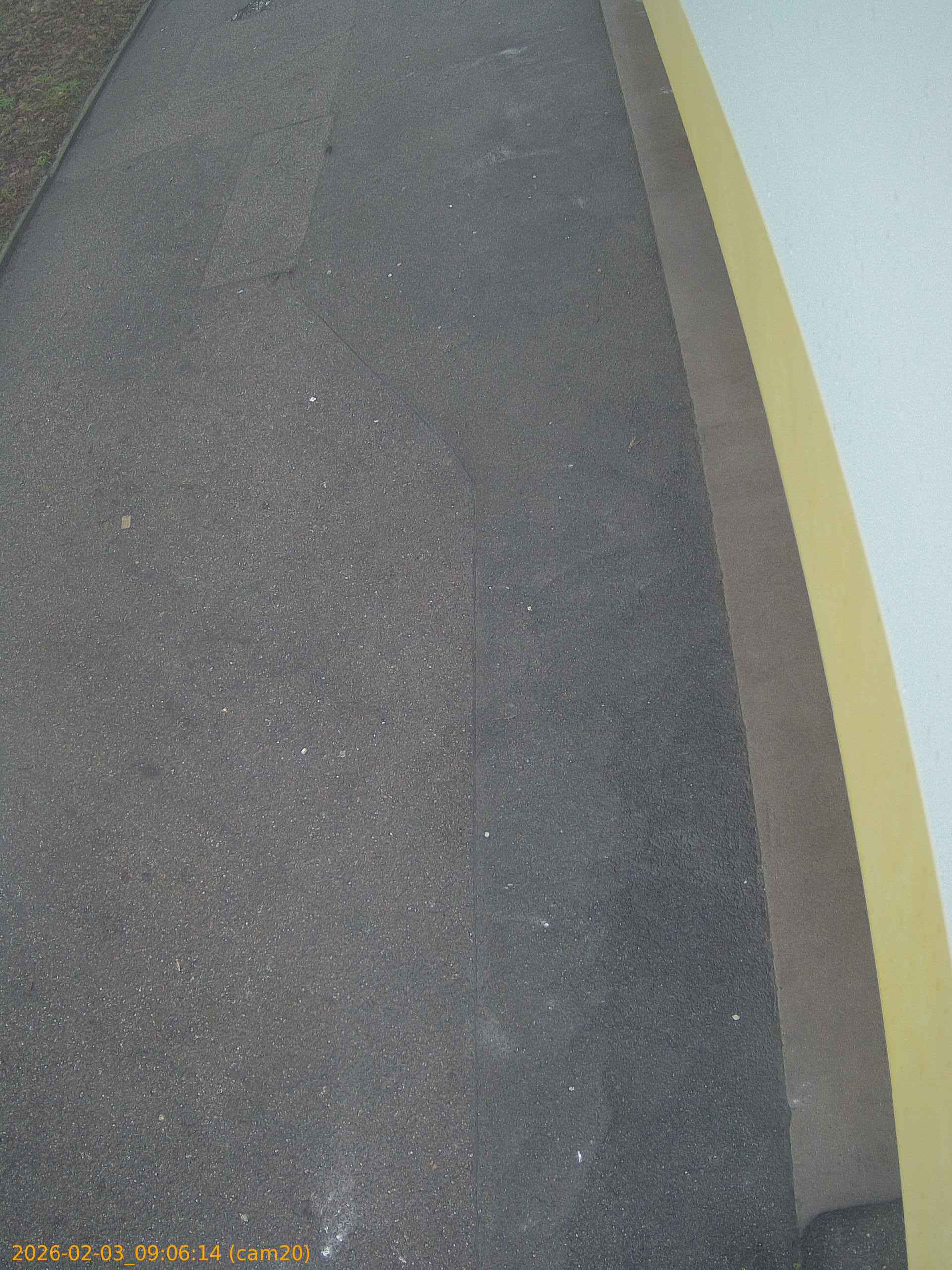 thumbnail_20260203090614