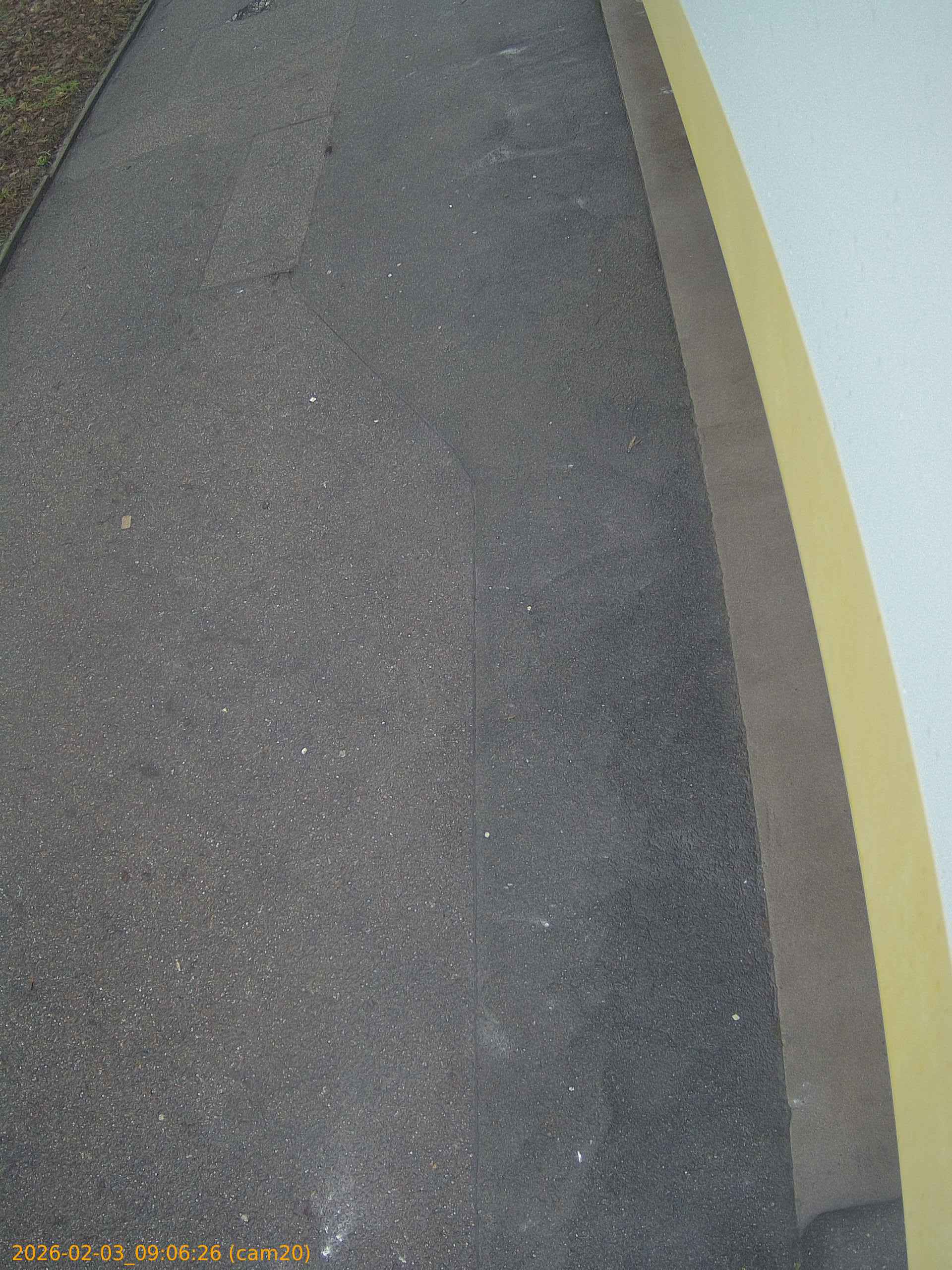 thumbnail_20260203090626