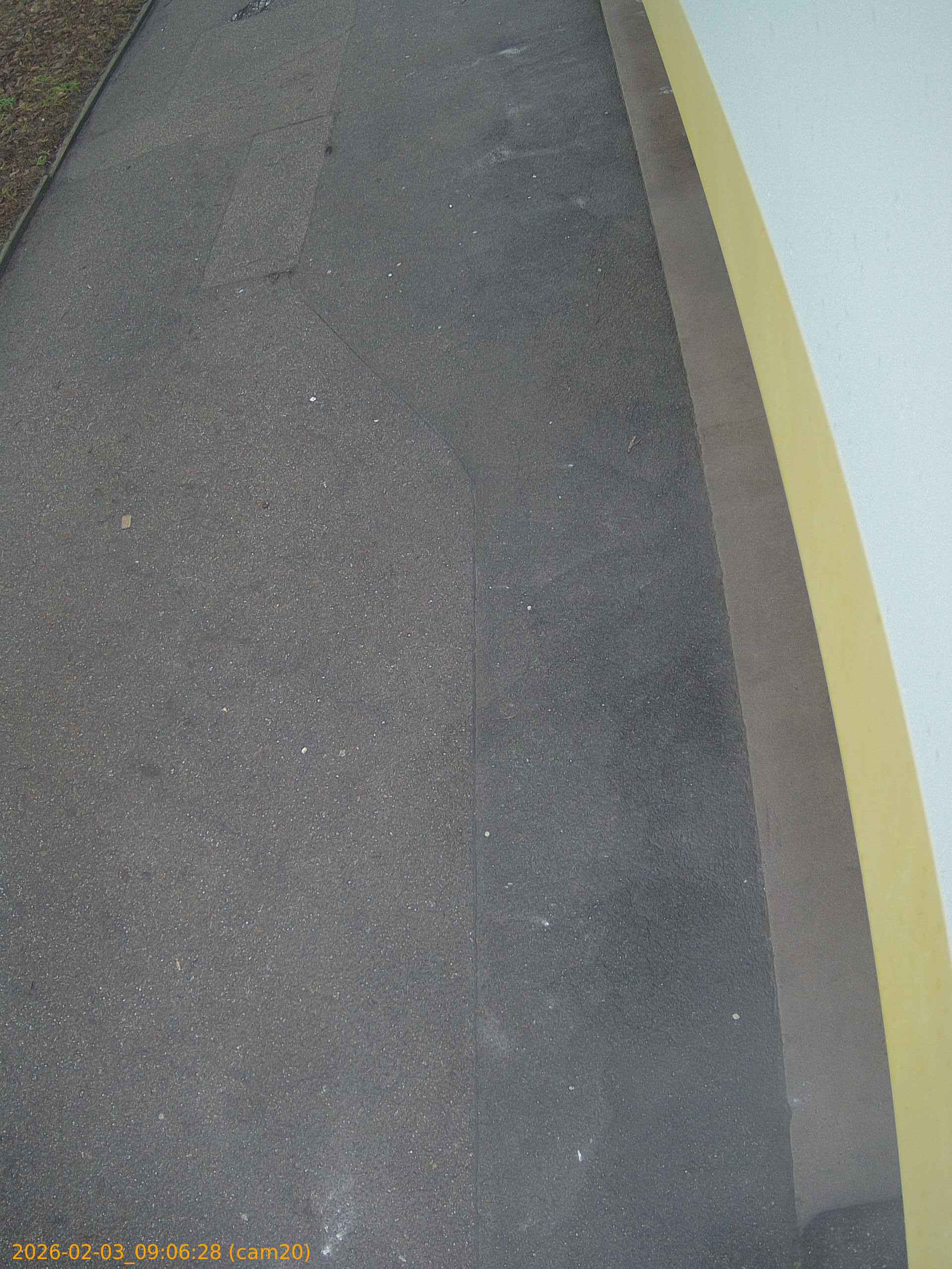 thumbnail_20260203090628