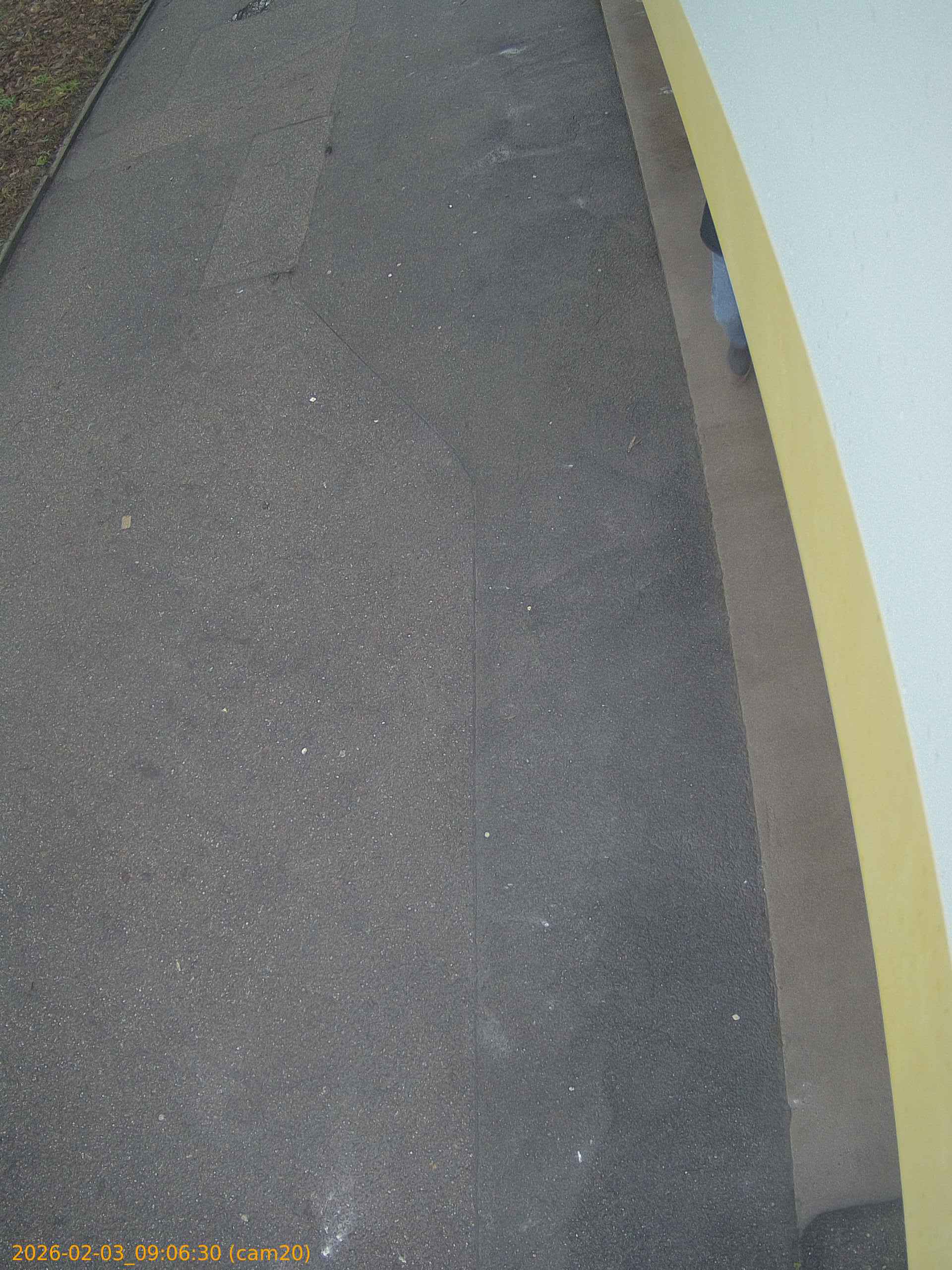 thumbnail_20260203090630