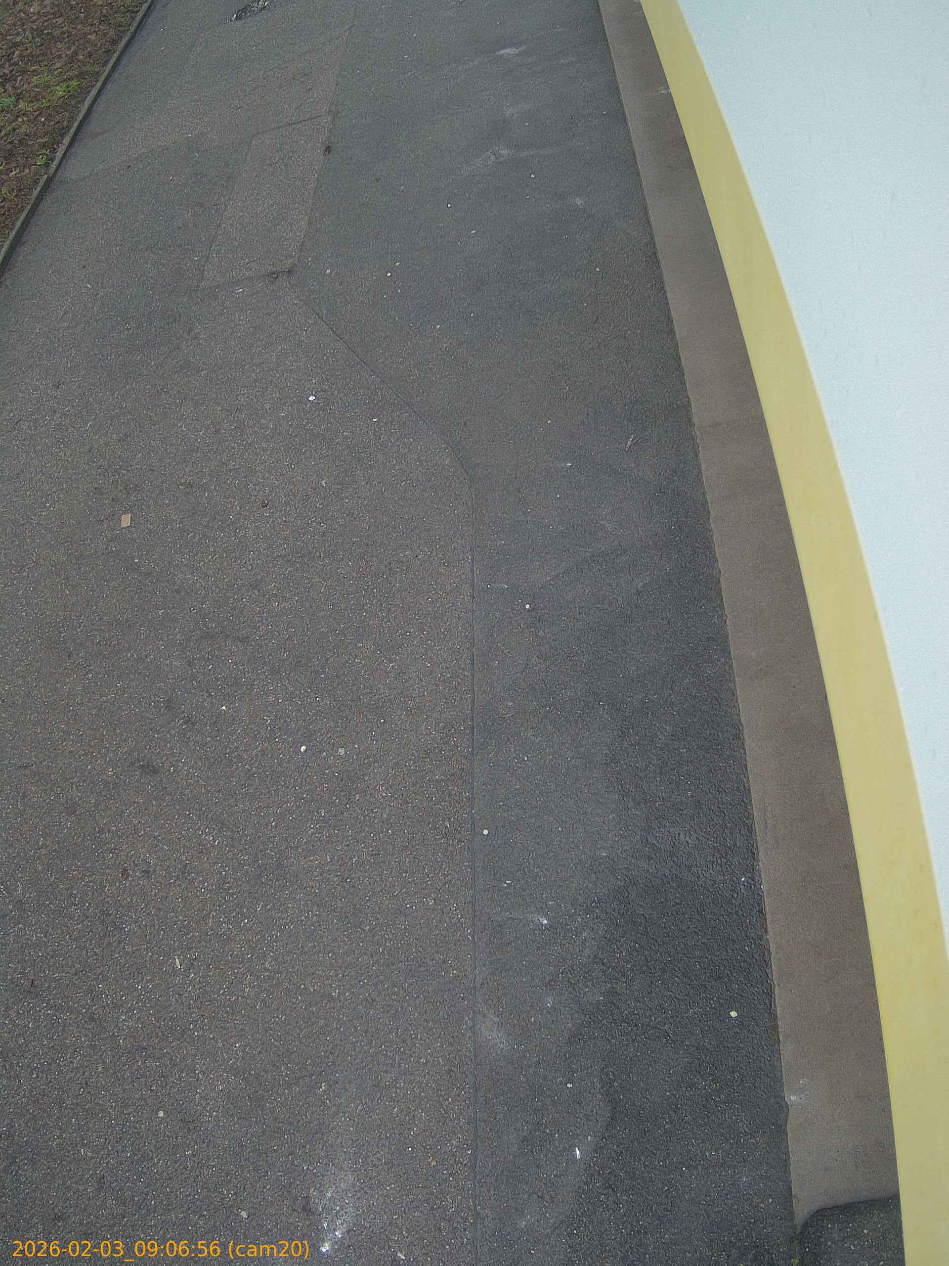 thumbnail_20260203090656