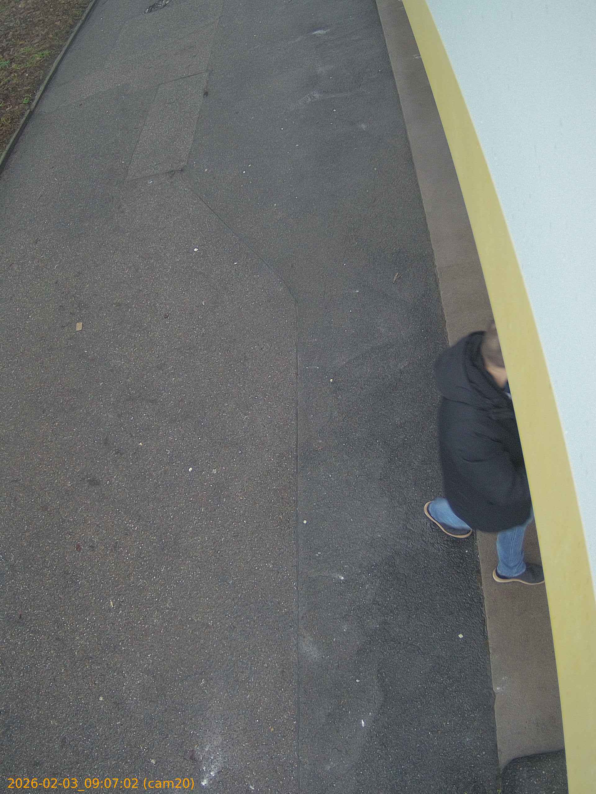 thumbnail_20260203090702