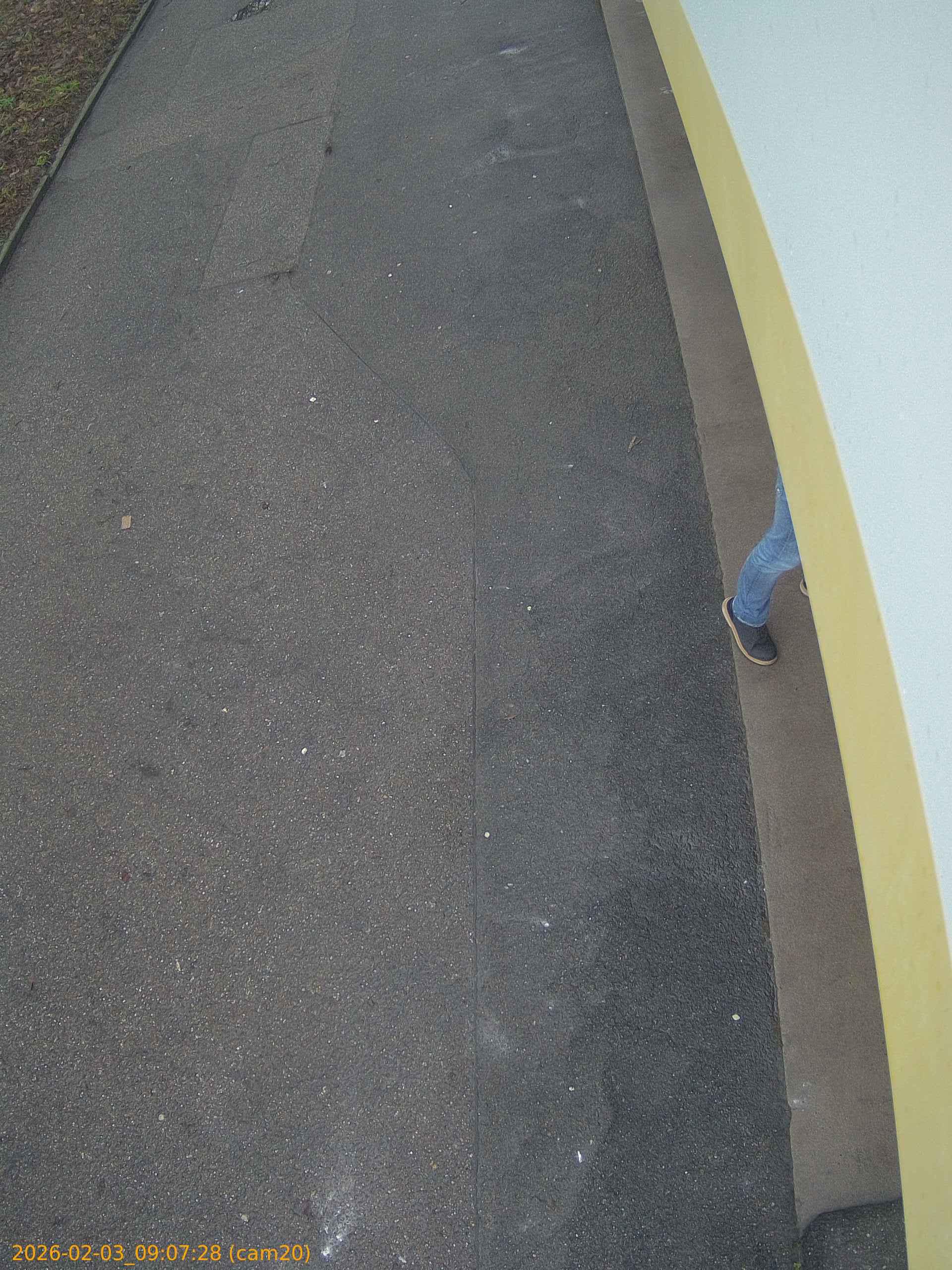 thumbnail_20260203090728