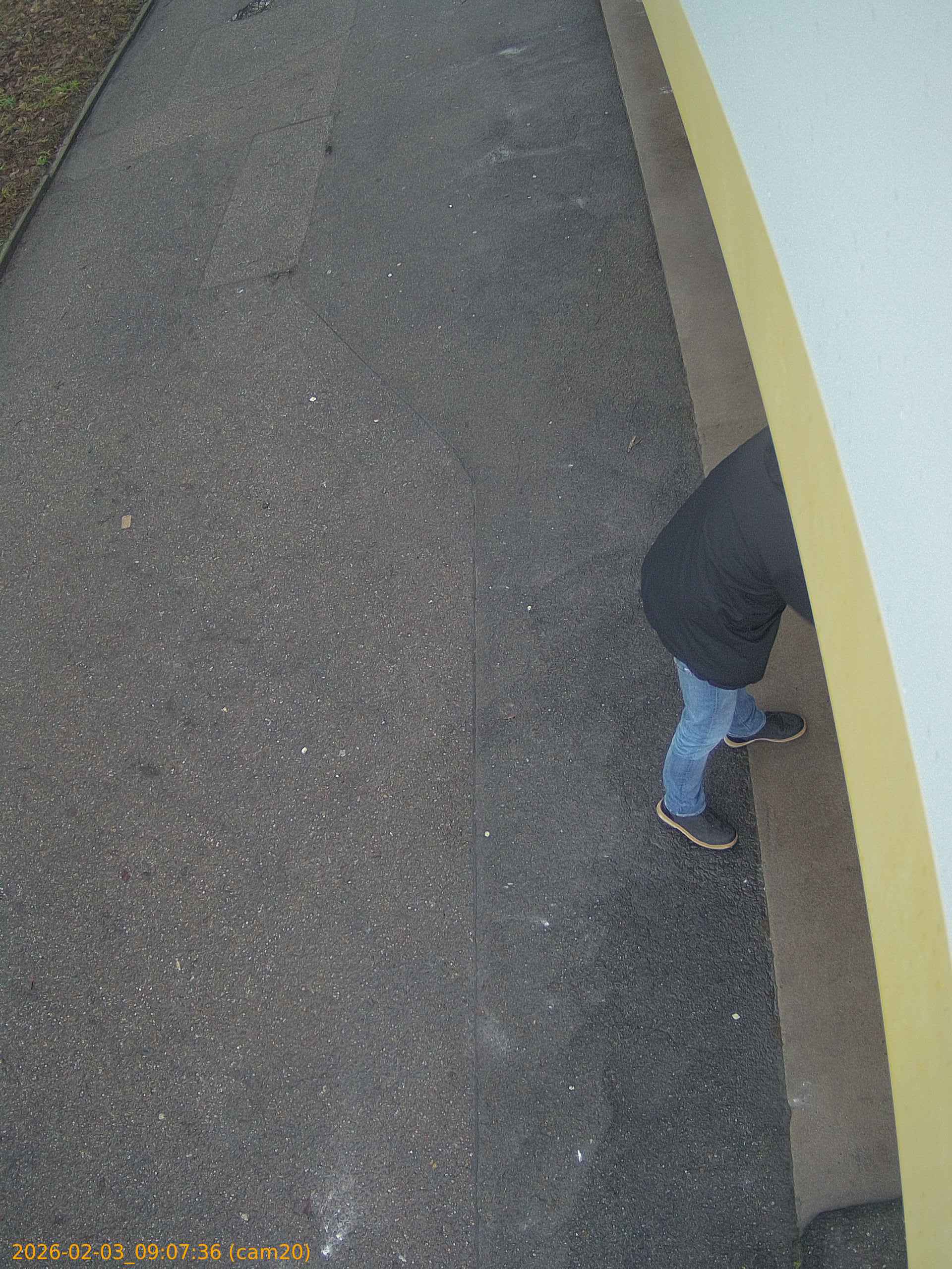 thumbnail_20260203090736