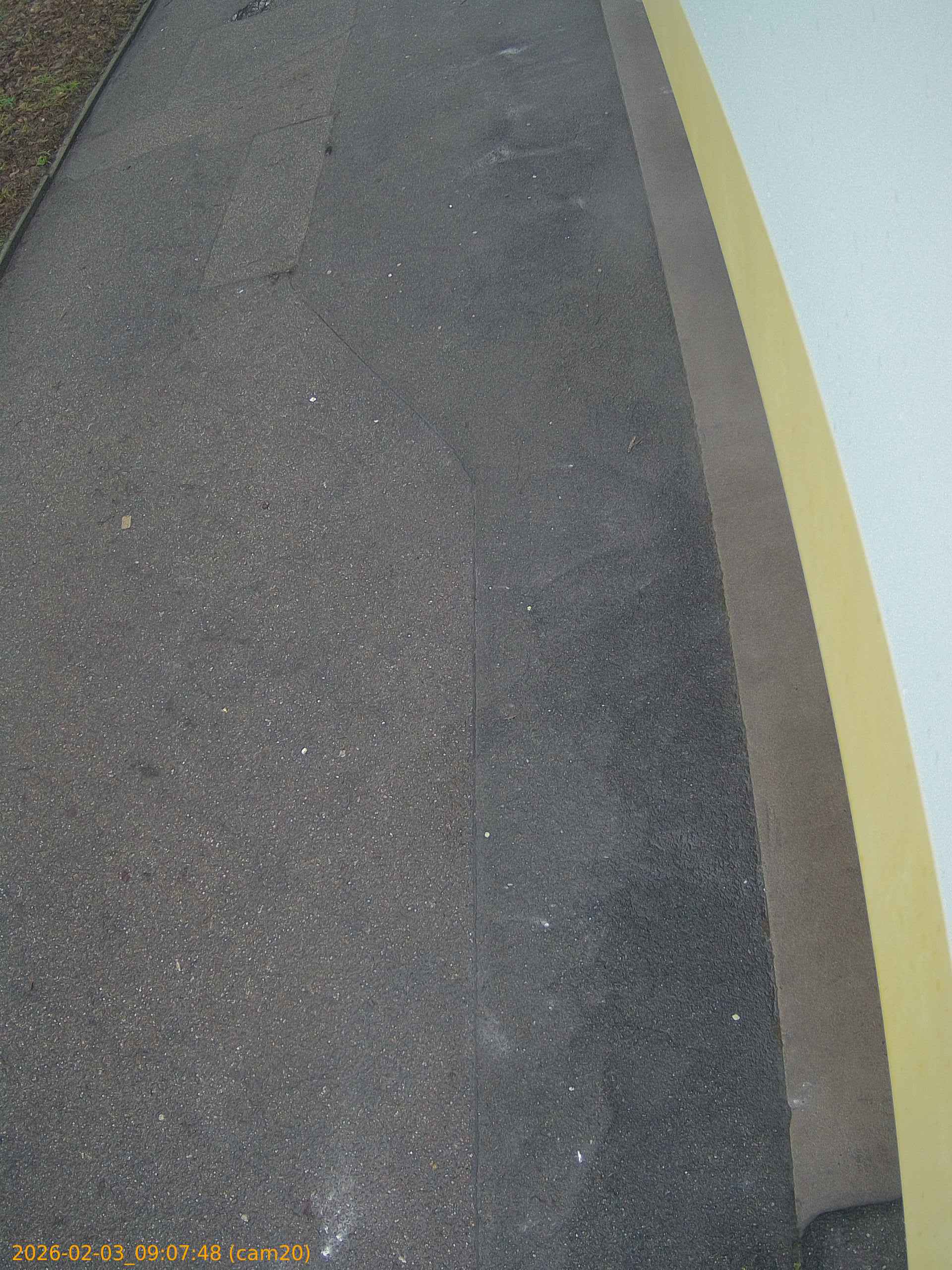 thumbnail_20260203090748