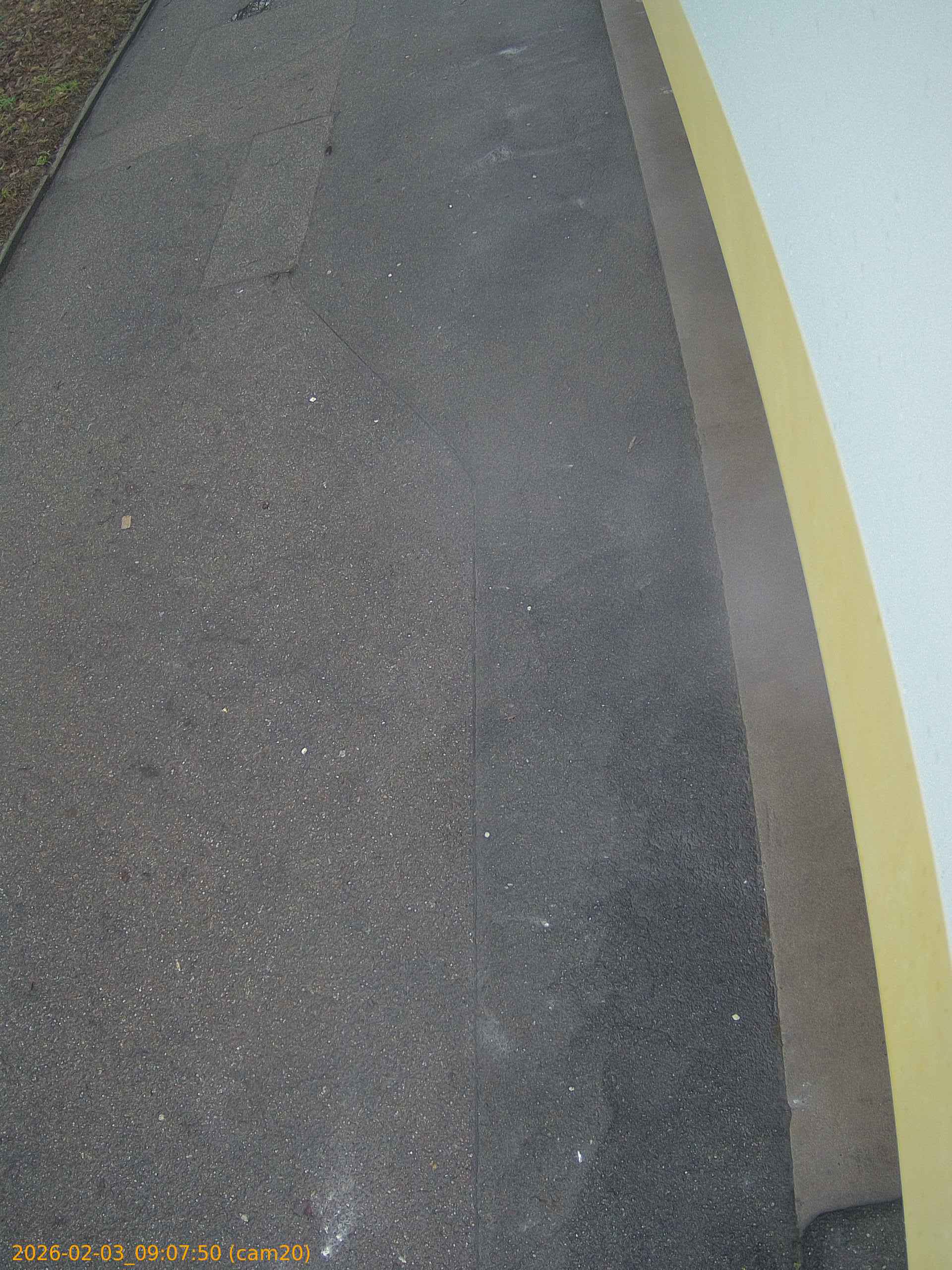 thumbnail_20260203090750