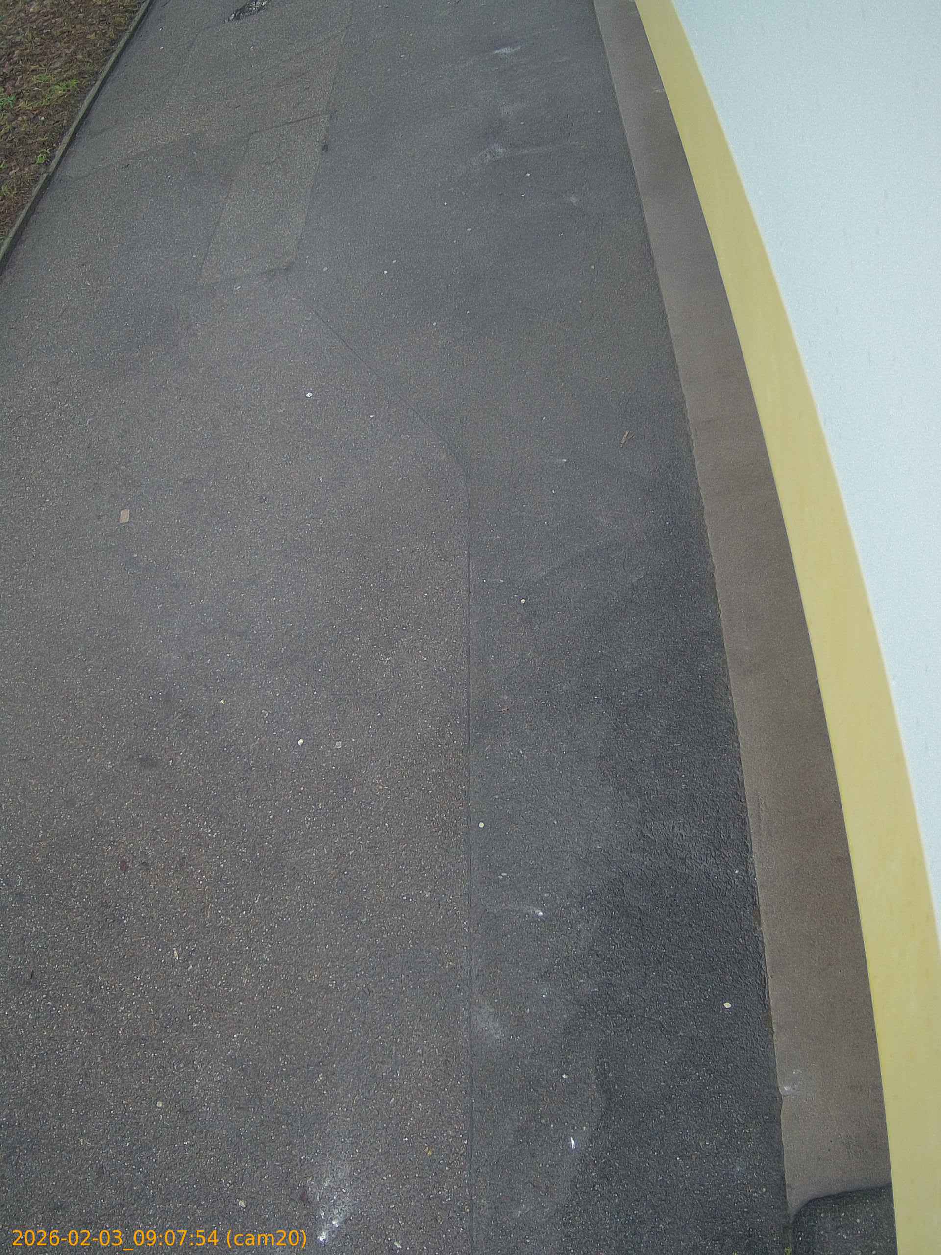 thumbnail_20260203090754