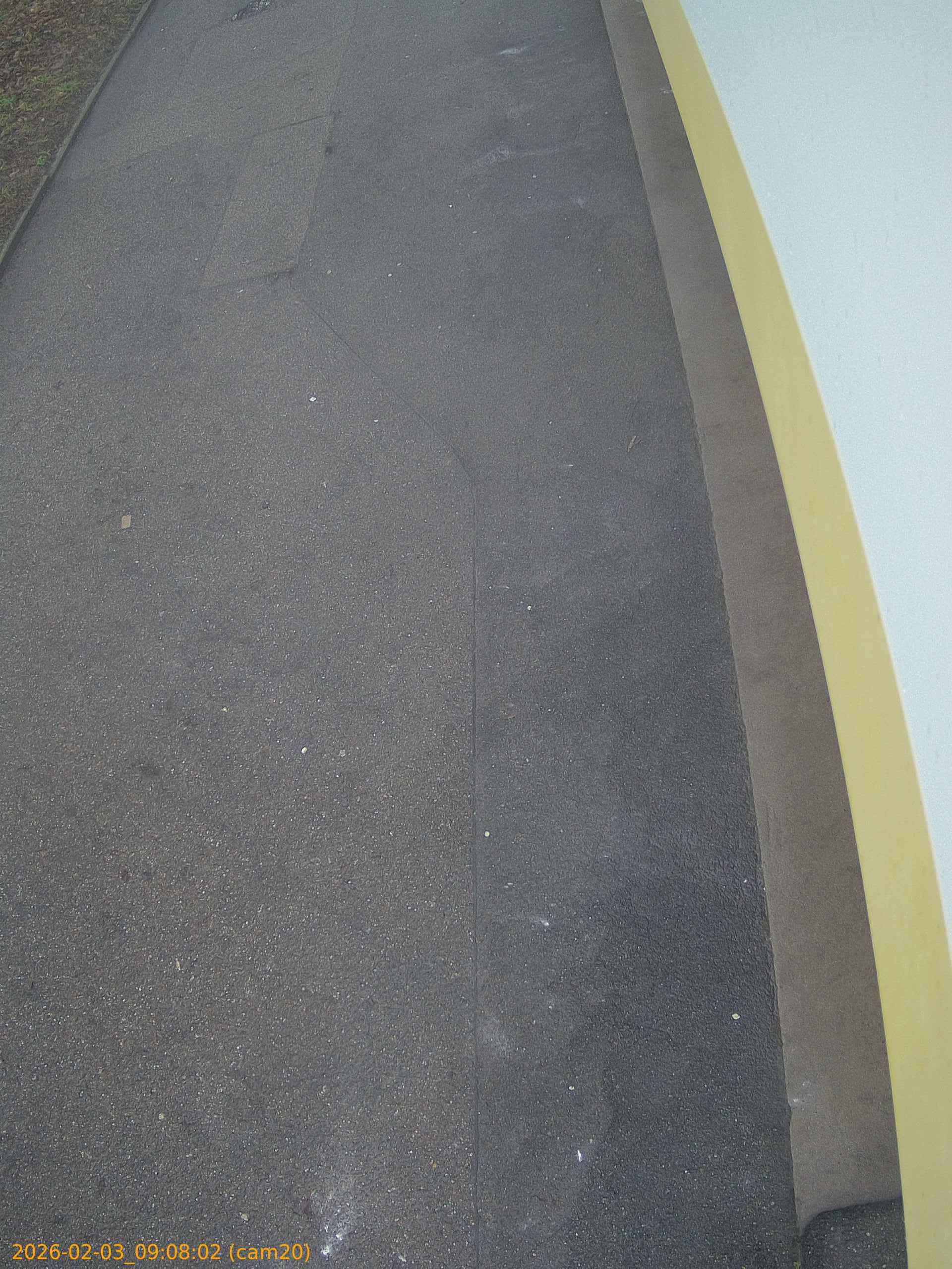 thumbnail_20260203090802