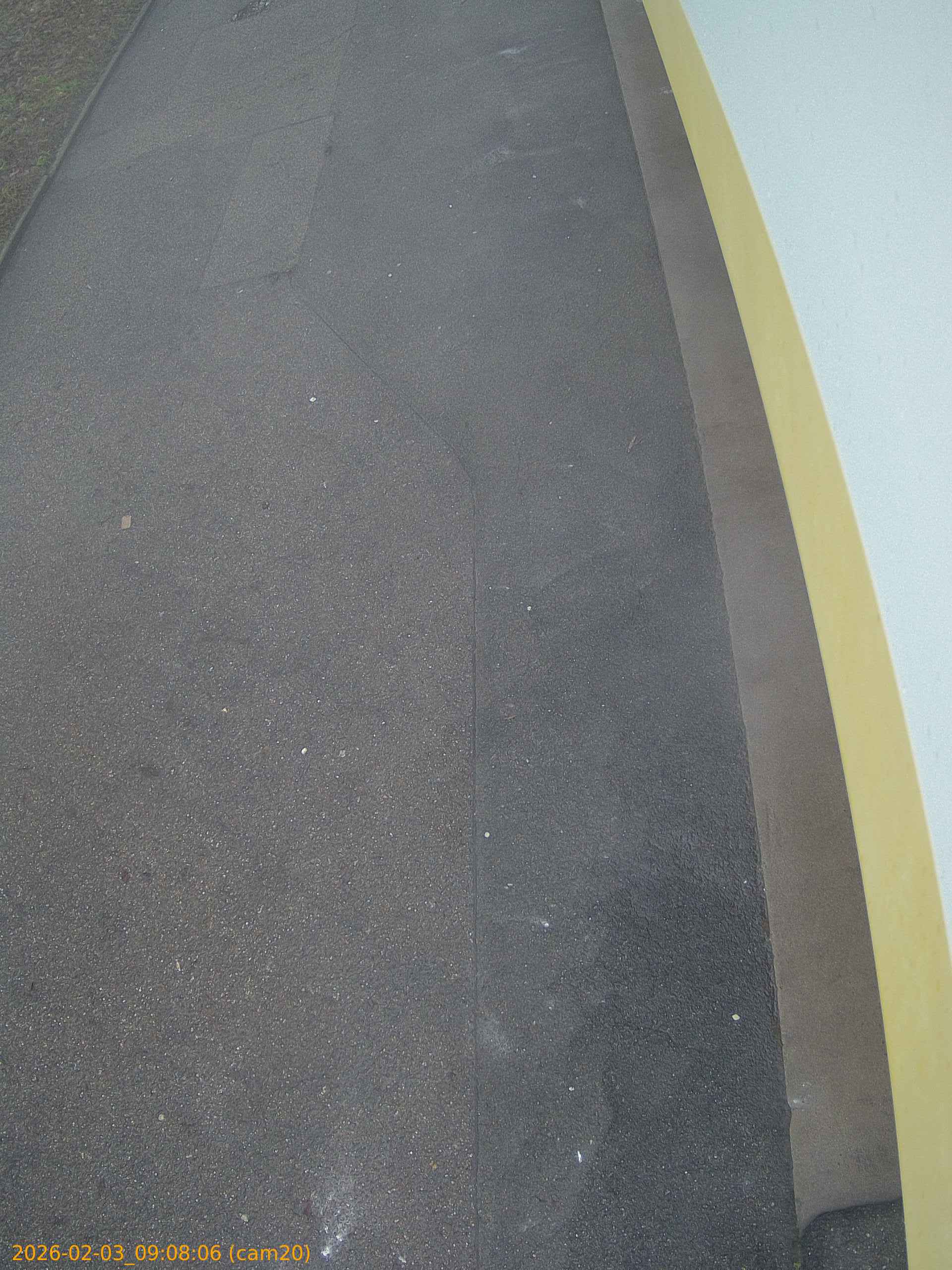 thumbnail_20260203090806