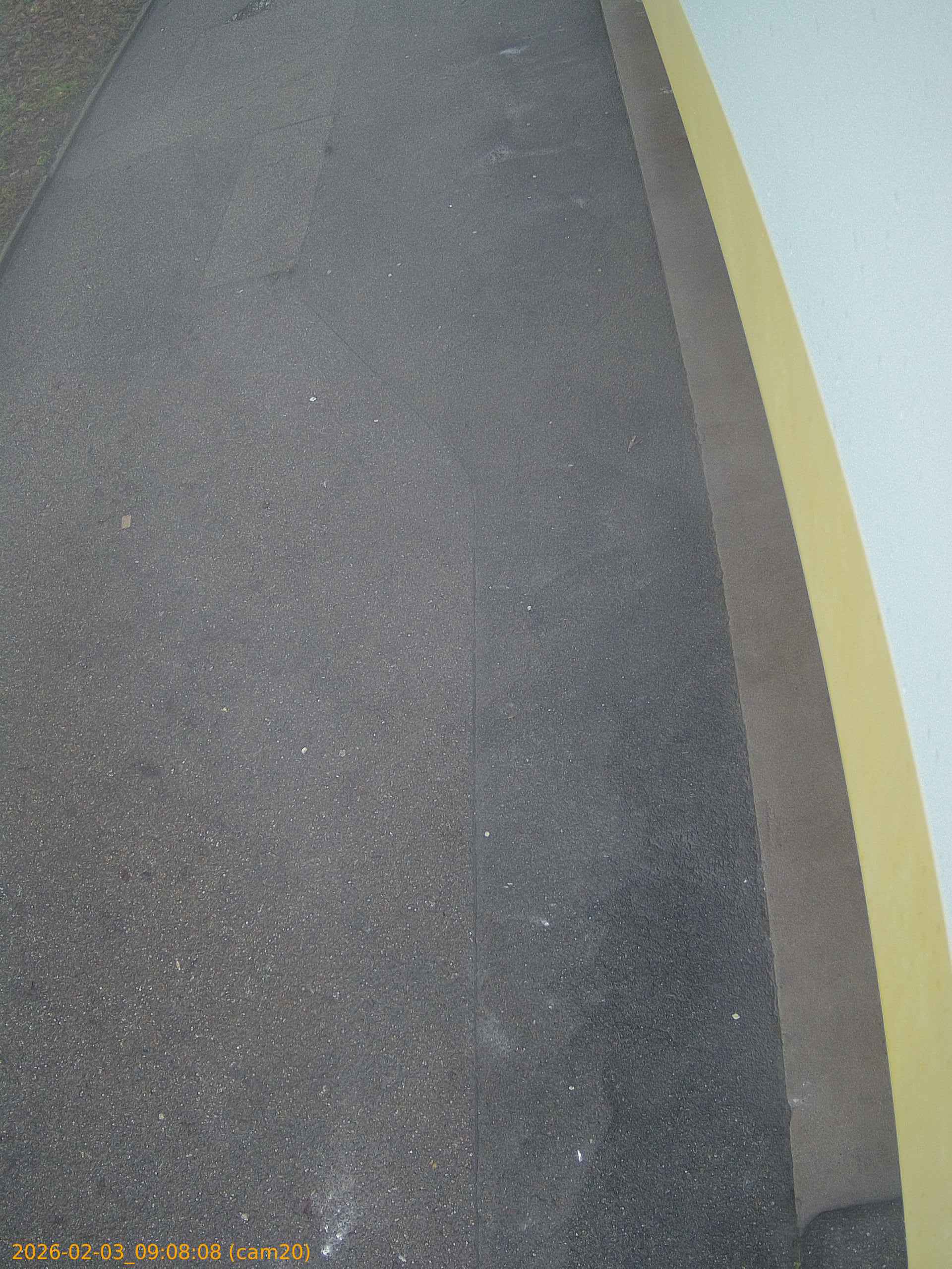 thumbnail_20260203090808