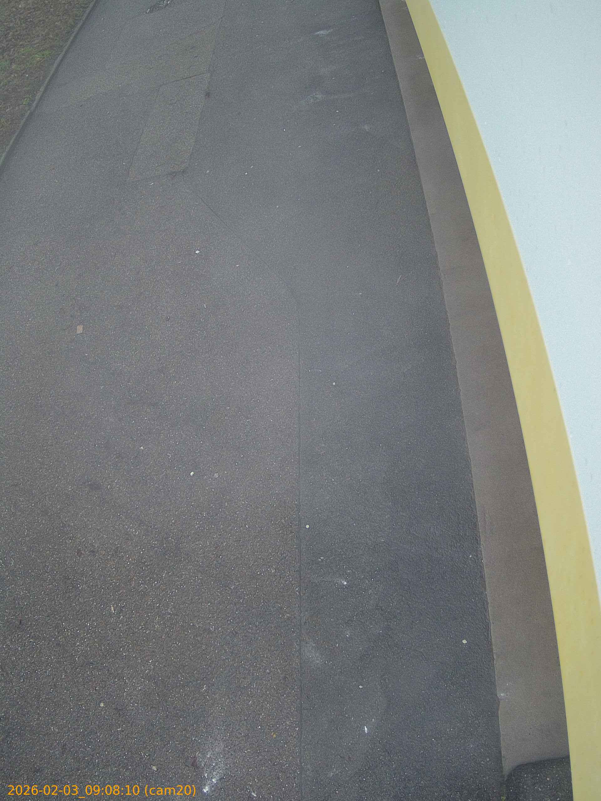 thumbnail_20260203090810