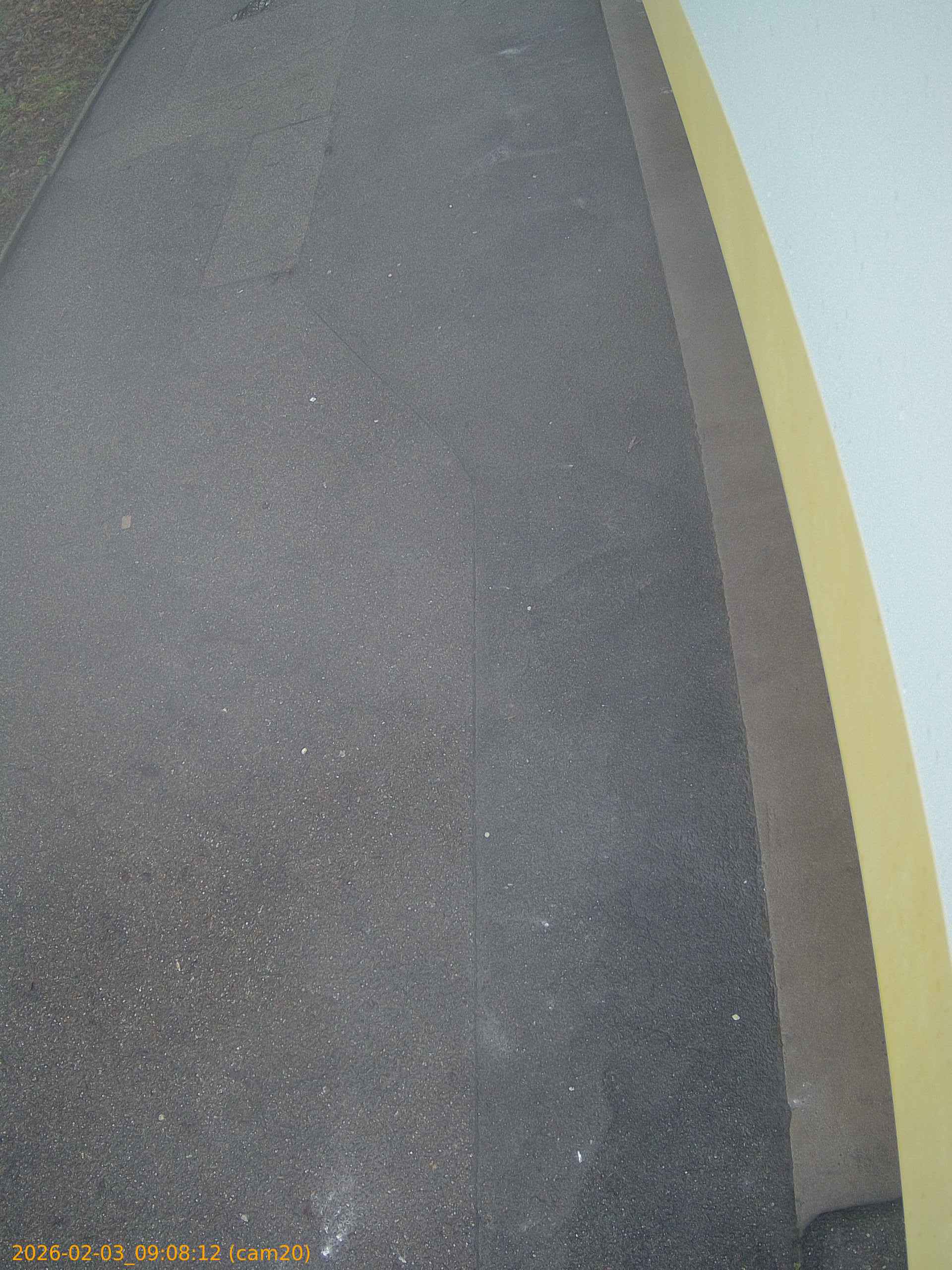 thumbnail_20260203090812