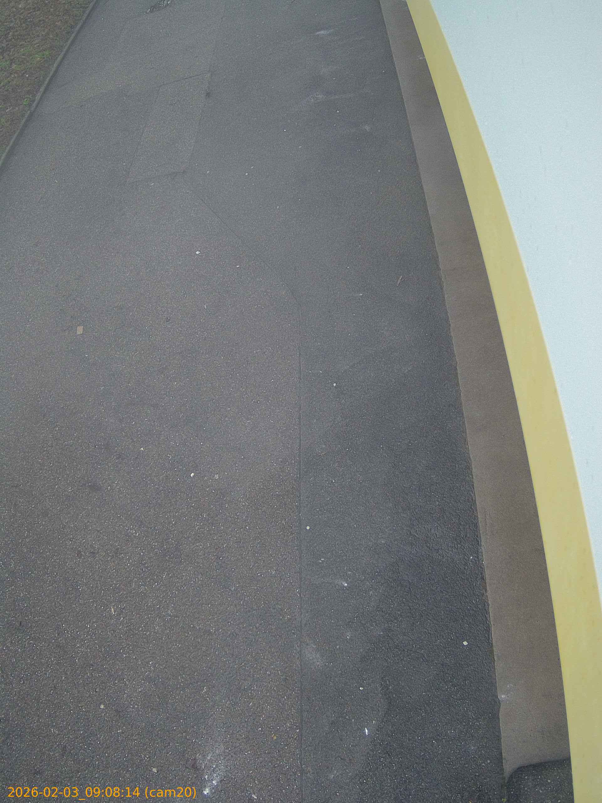 thumbnail_20260203090814