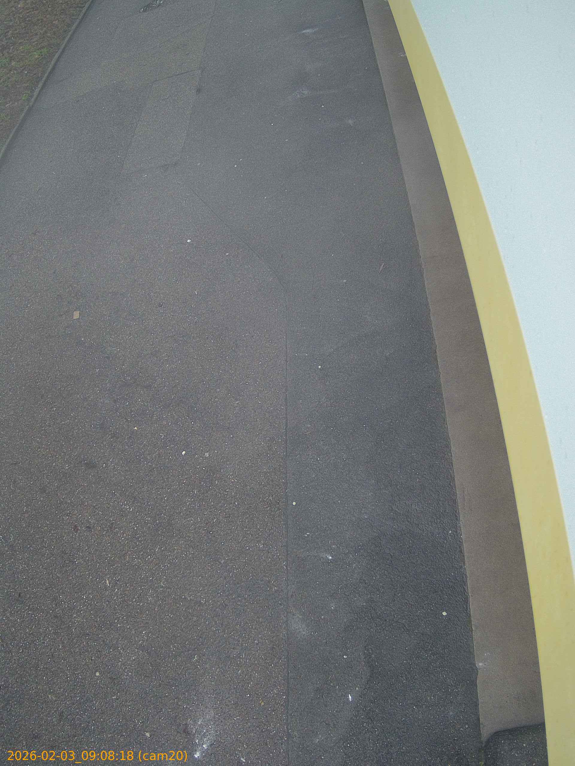 thumbnail_20260203090818