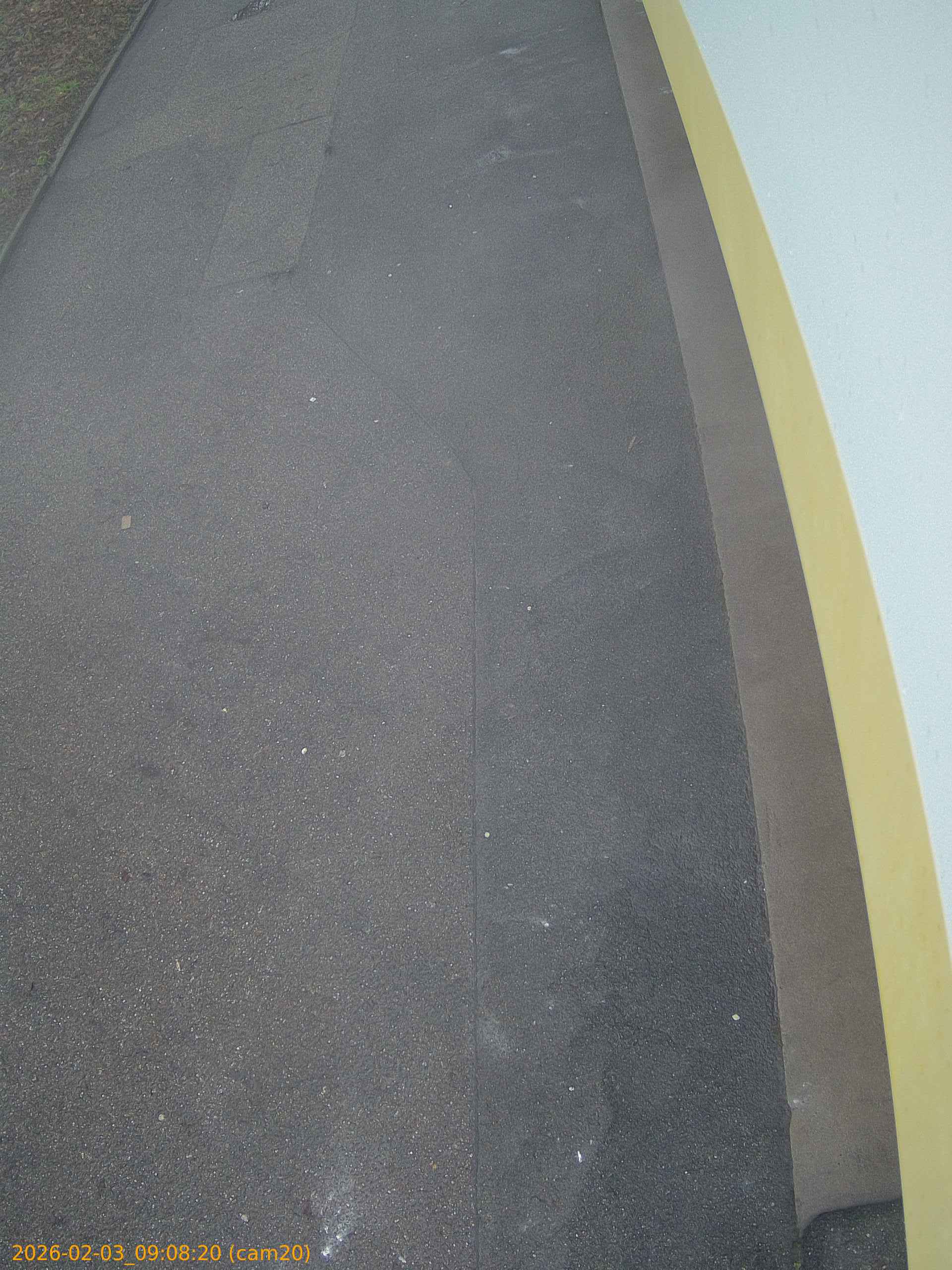 thumbnail_20260203090820