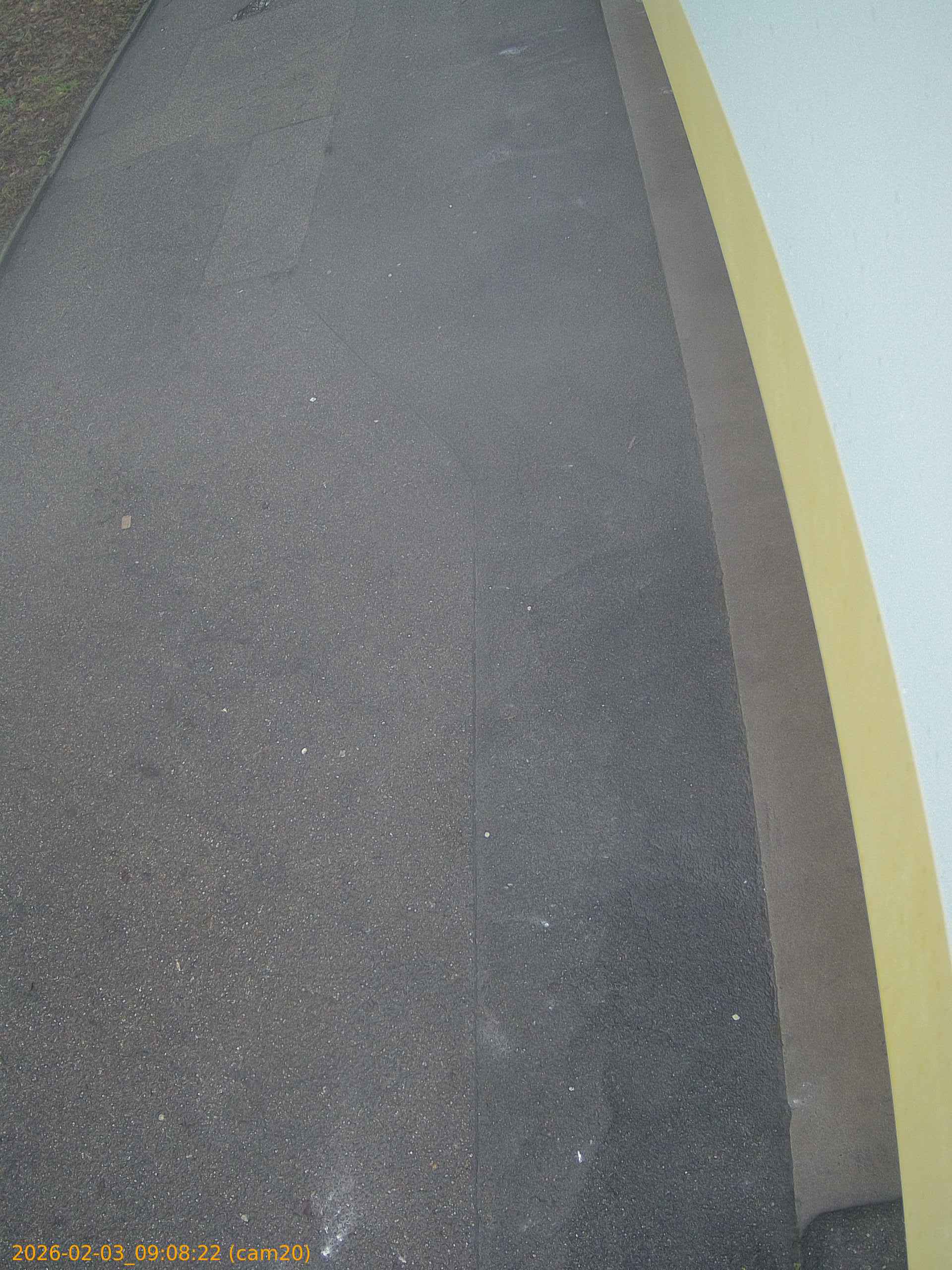 thumbnail_20260203090822