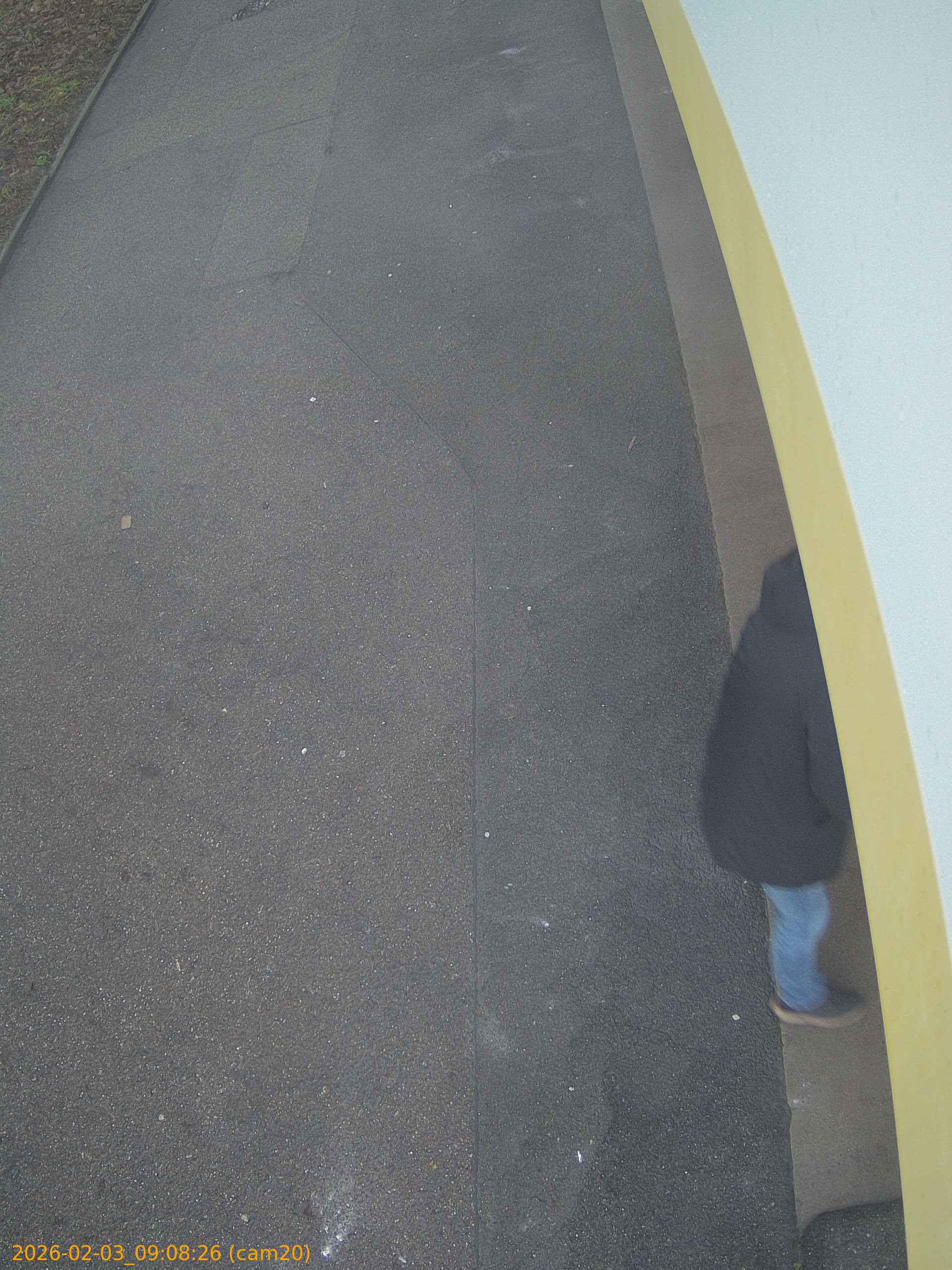 thumbnail_20260203090826