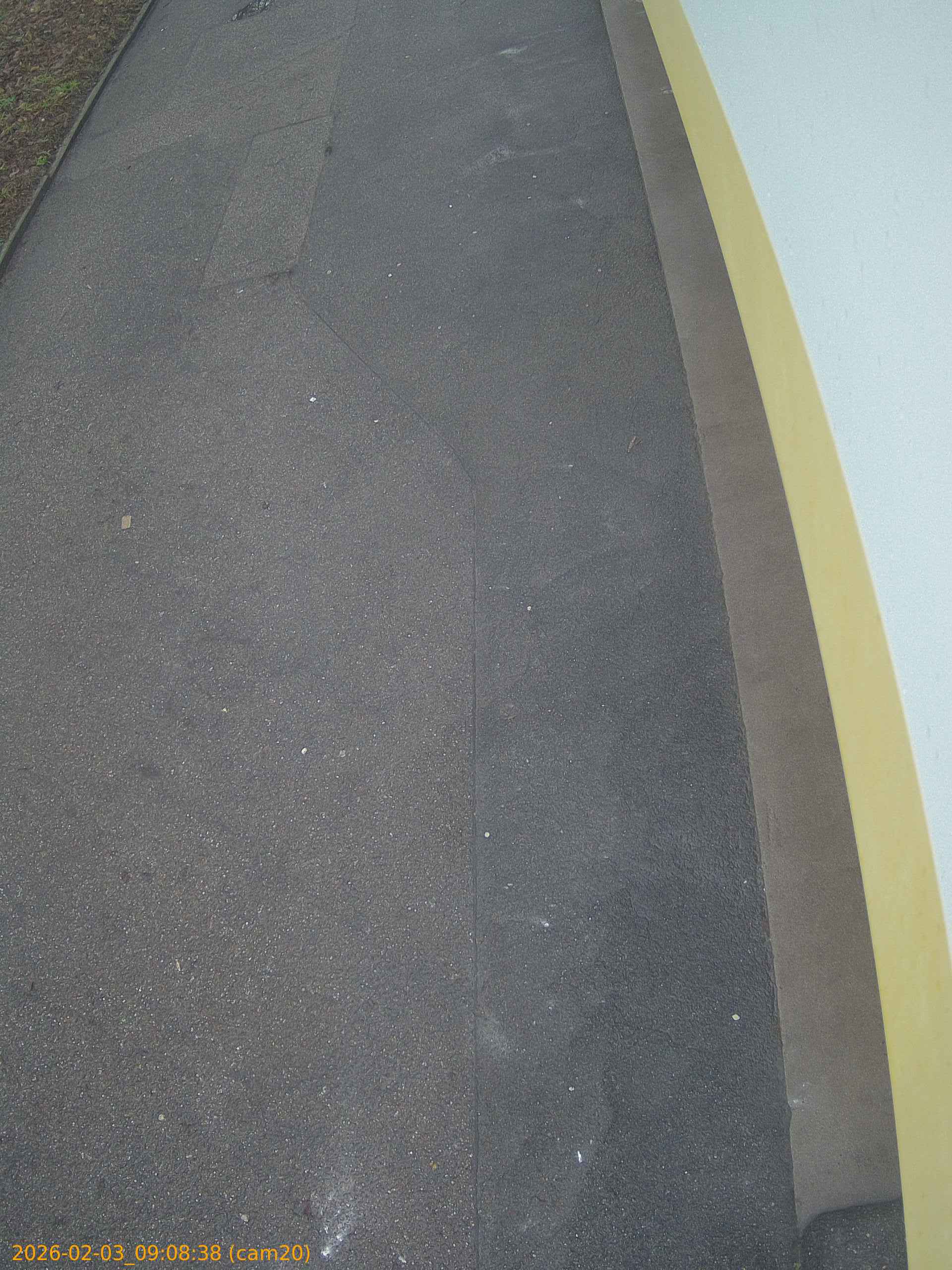 thumbnail_20260203090838