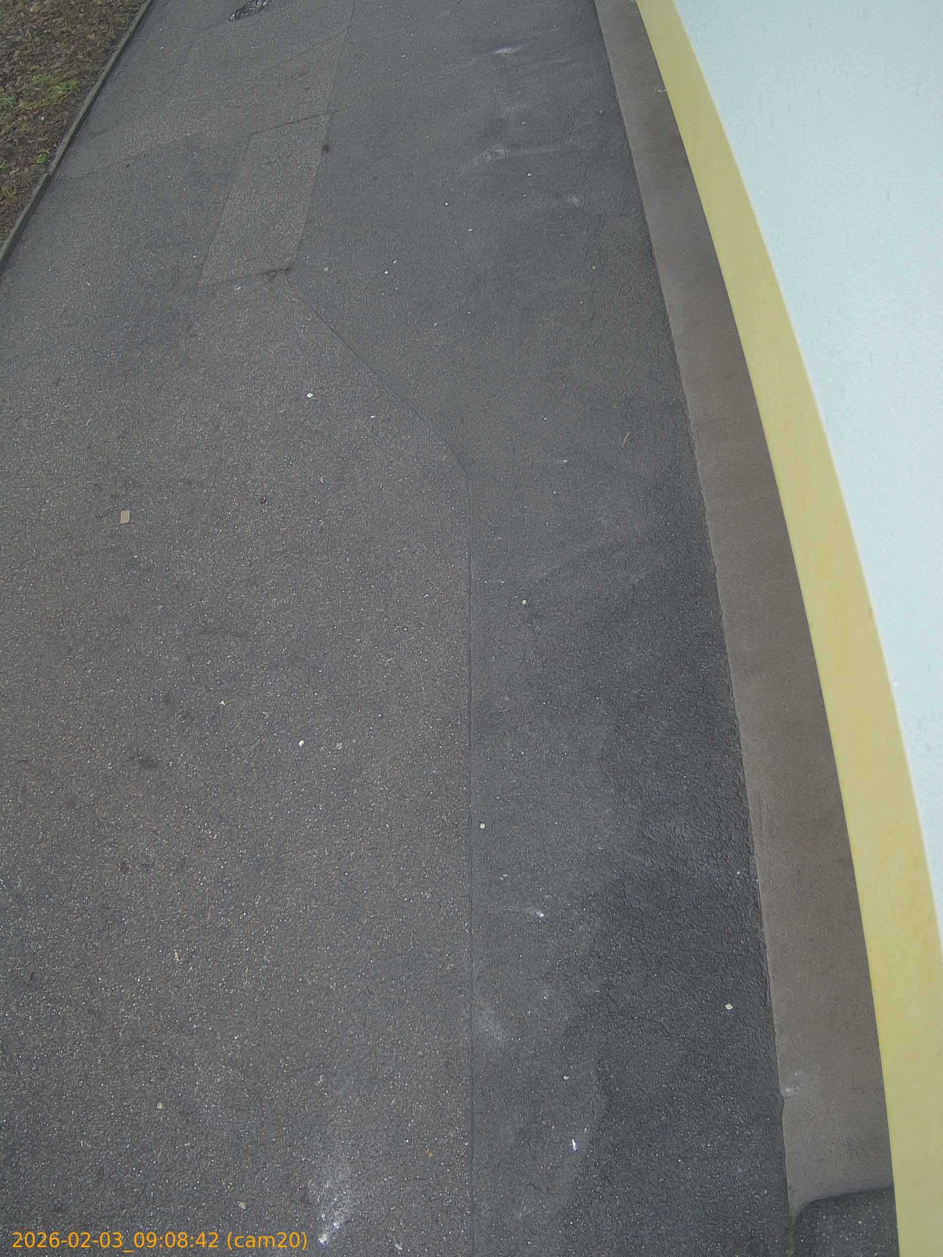 thumbnail_20260203090842