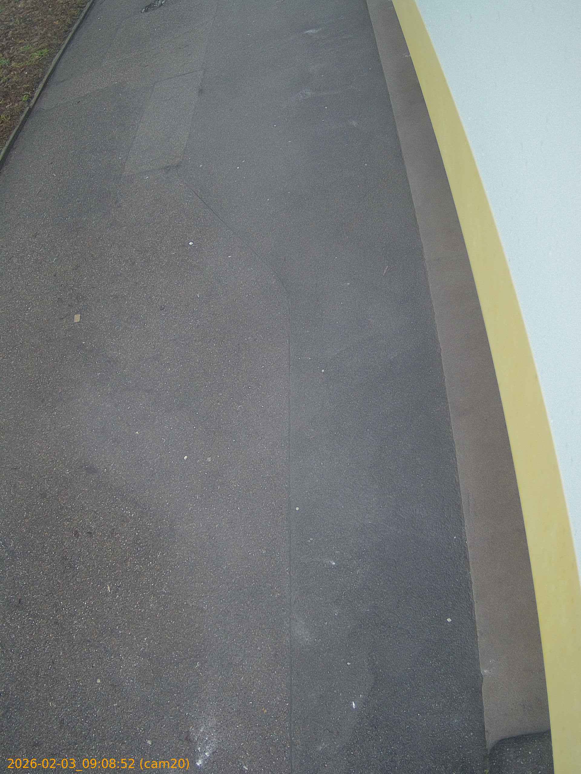 thumbnail_20260203090852