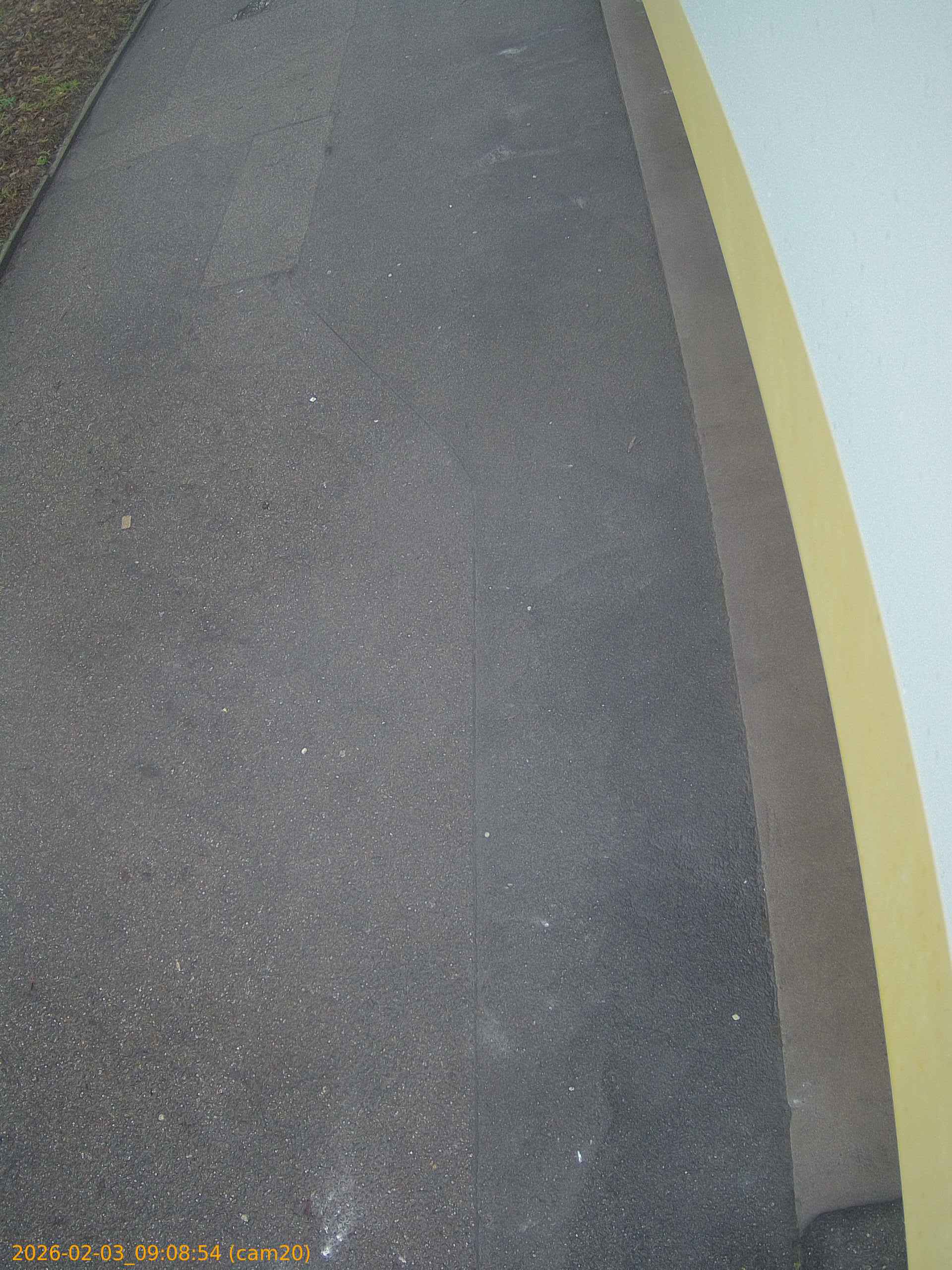 thumbnail_20260203090854