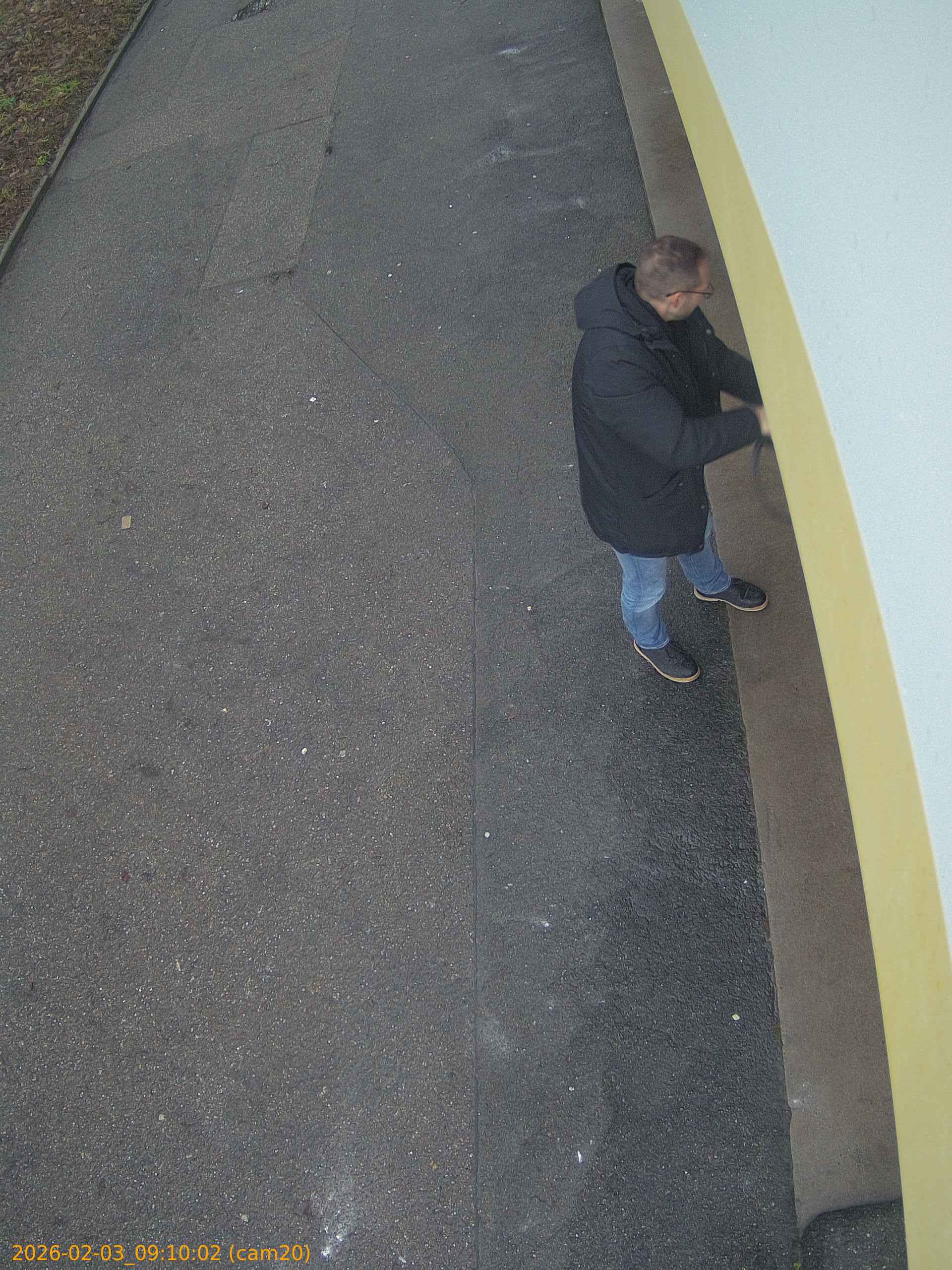 thumbnail_20260203091002