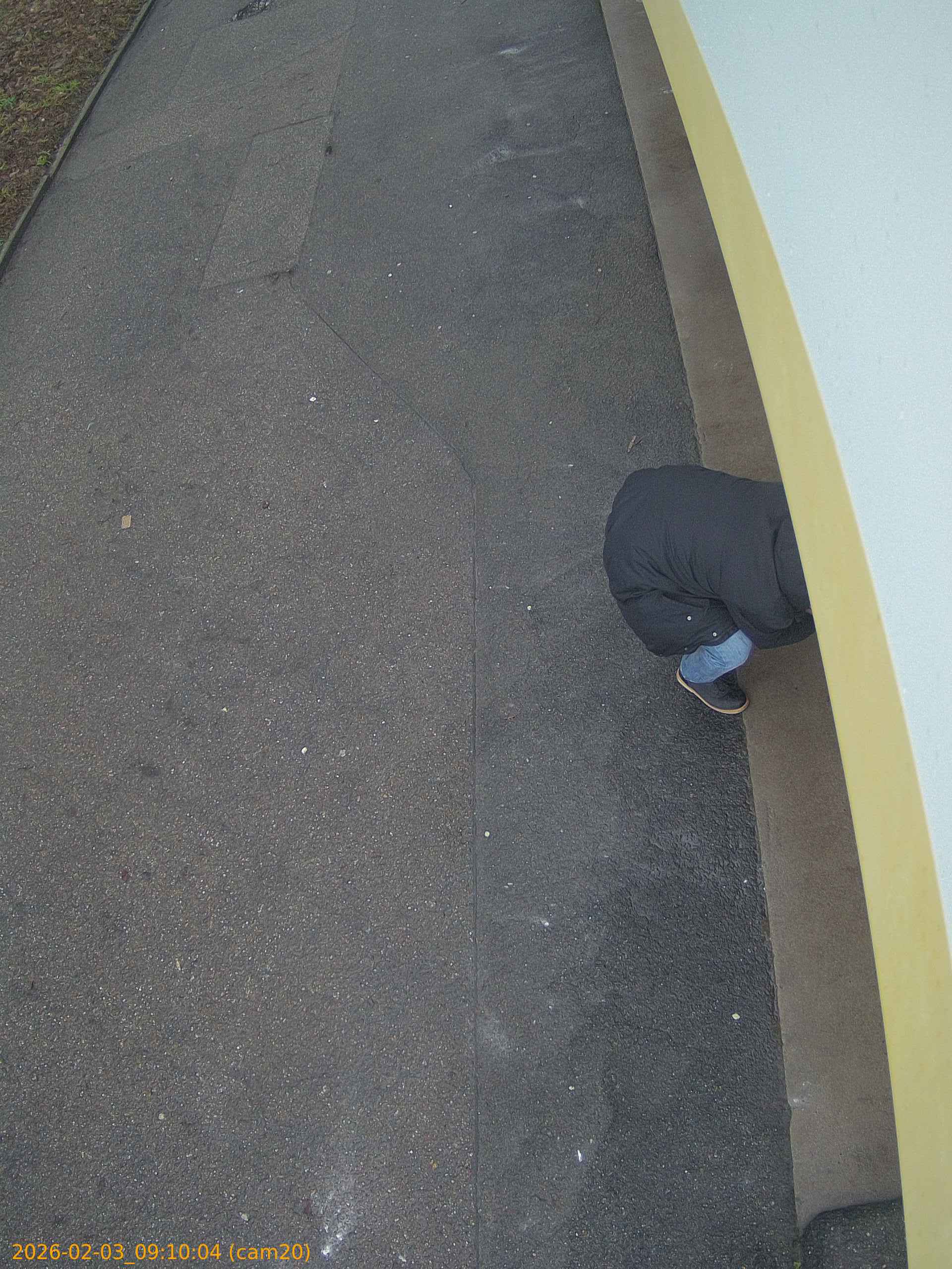 thumbnail_20260203091004