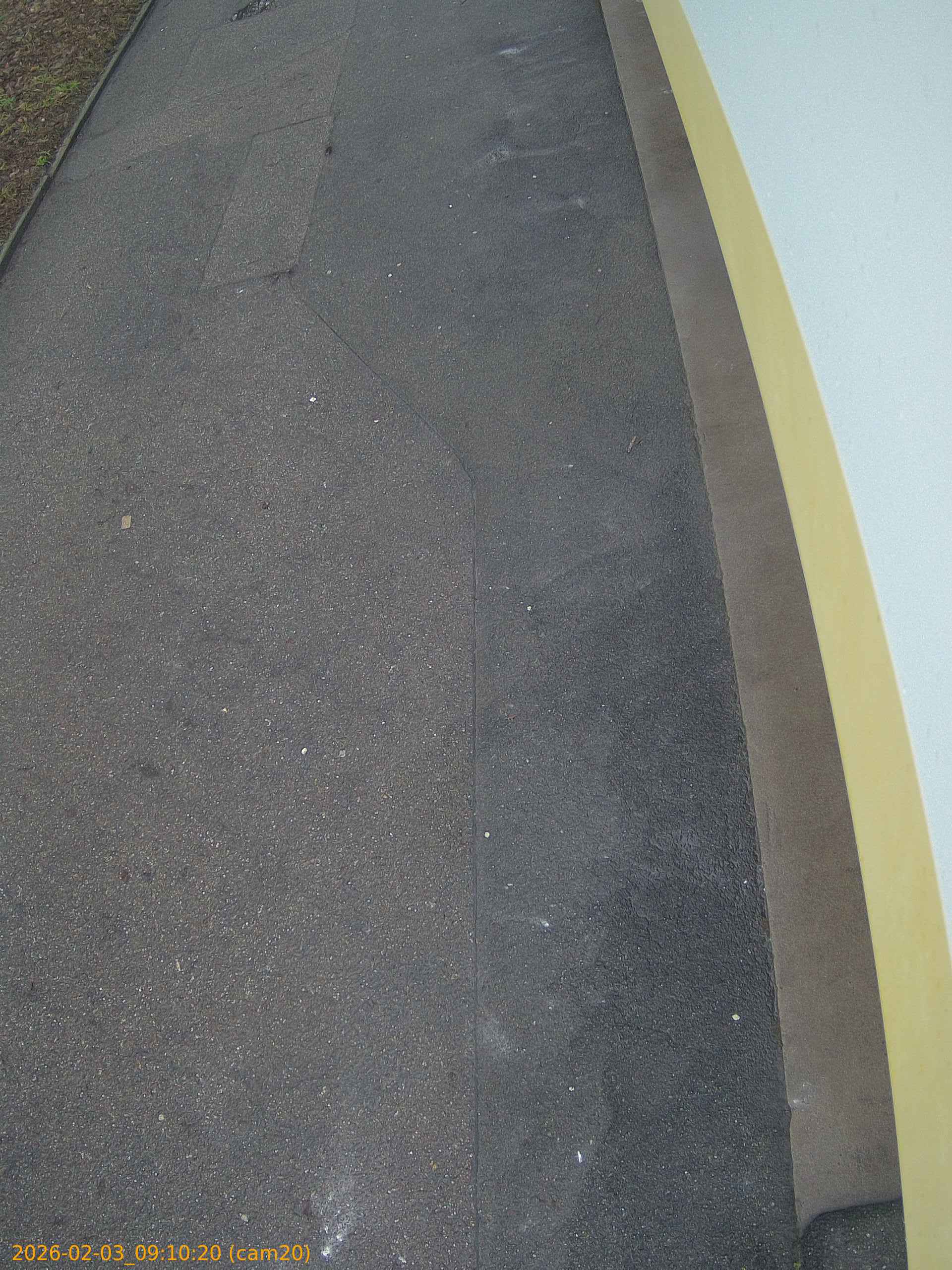 thumbnail_20260203091020