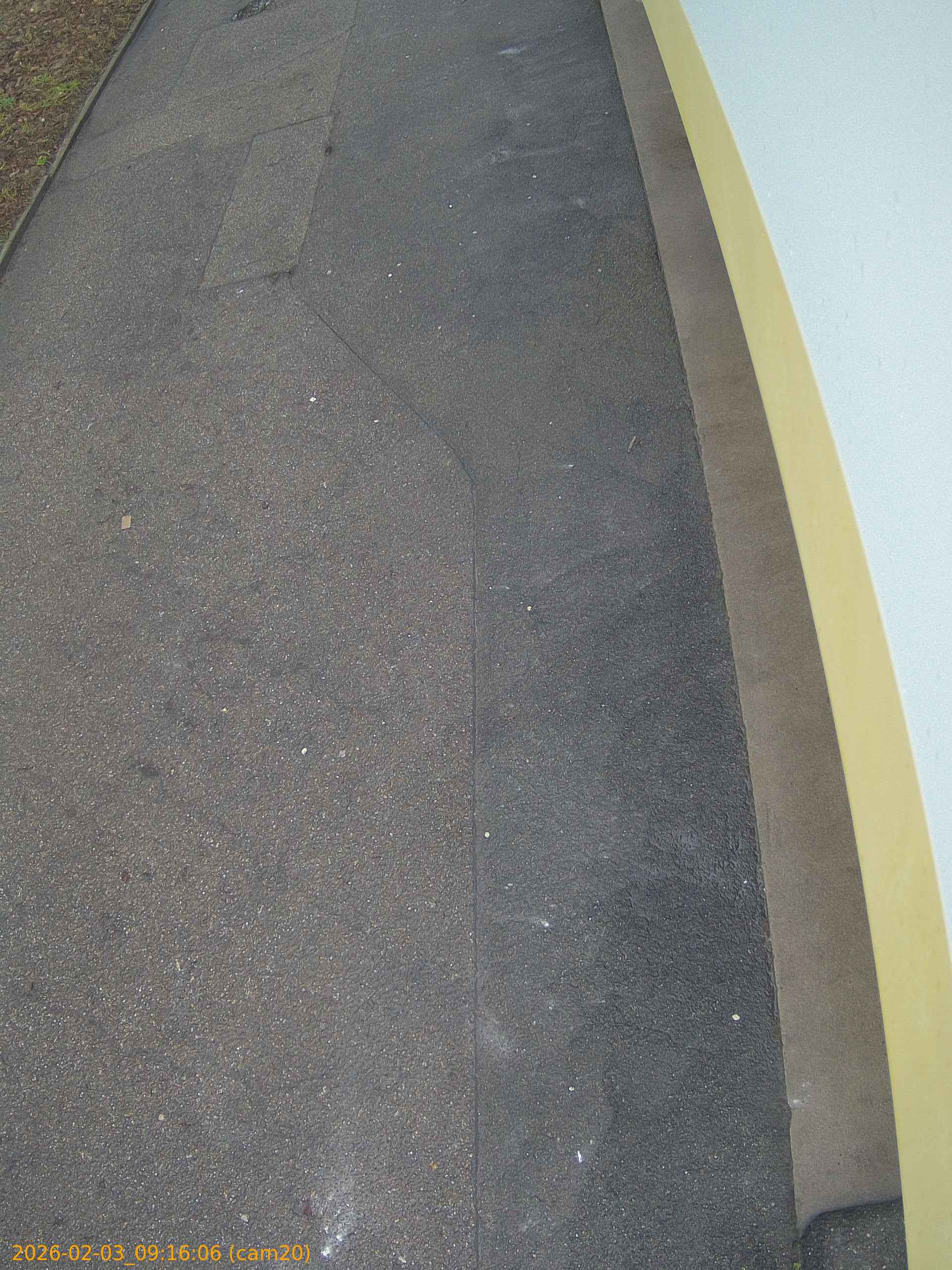 thumbnail_20260203091606