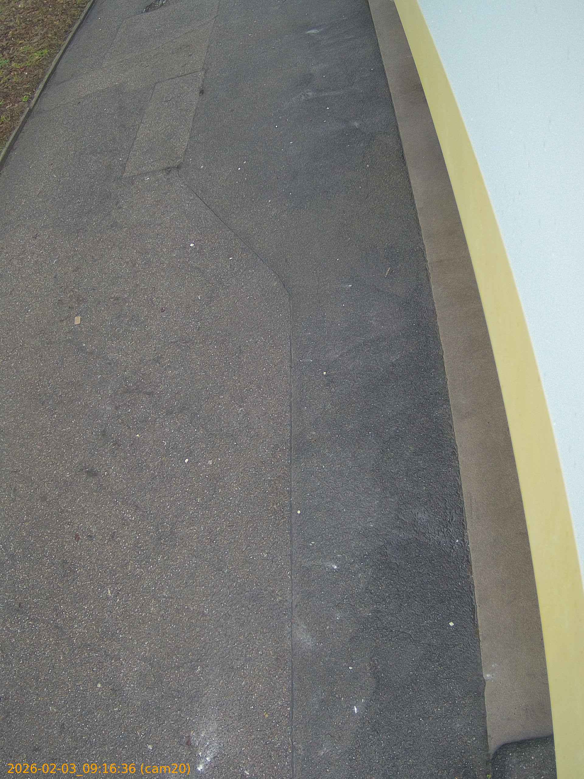 thumbnail_20260203091636